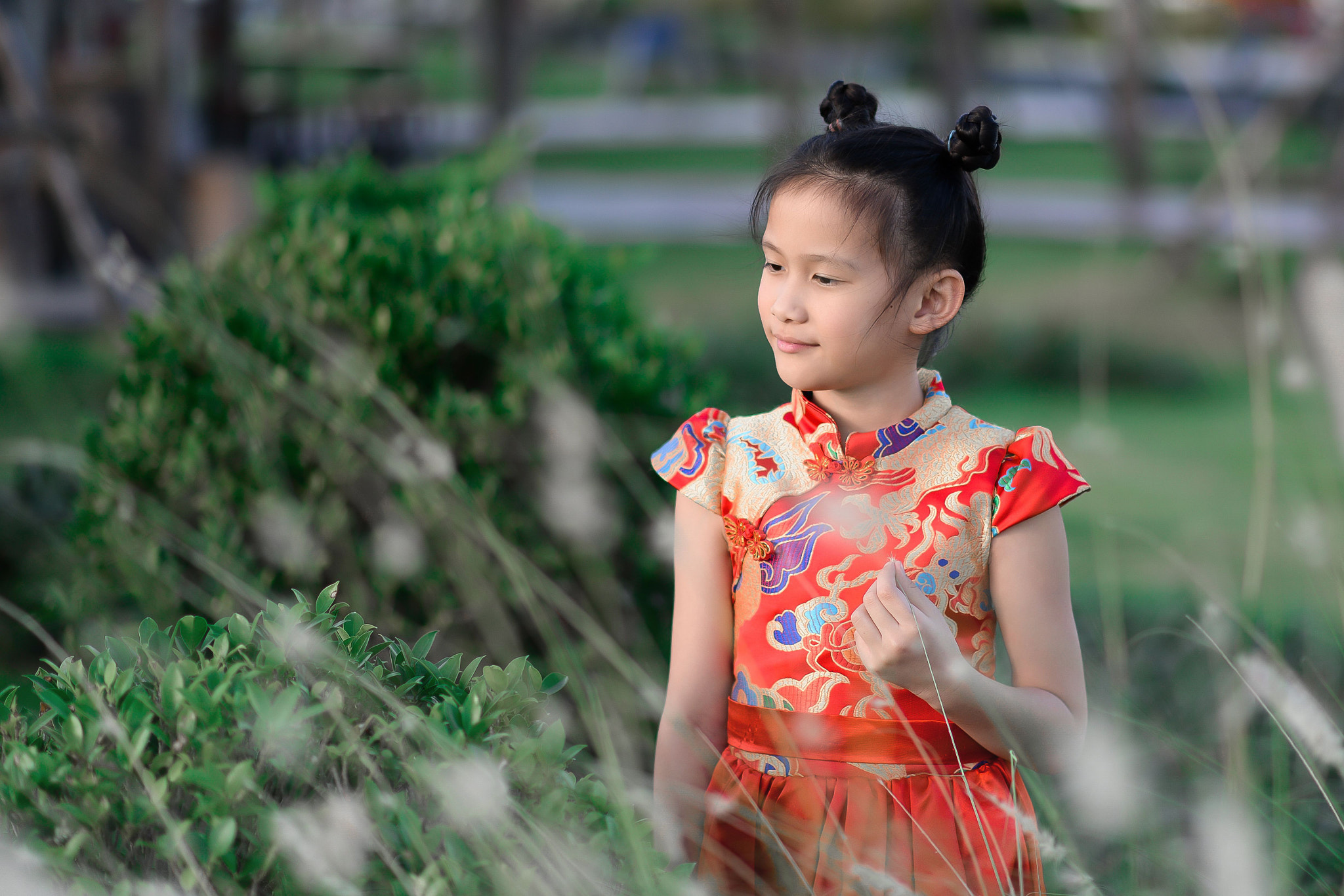 Nikon AF-S Nikkor 85mm F1.8G sample photo