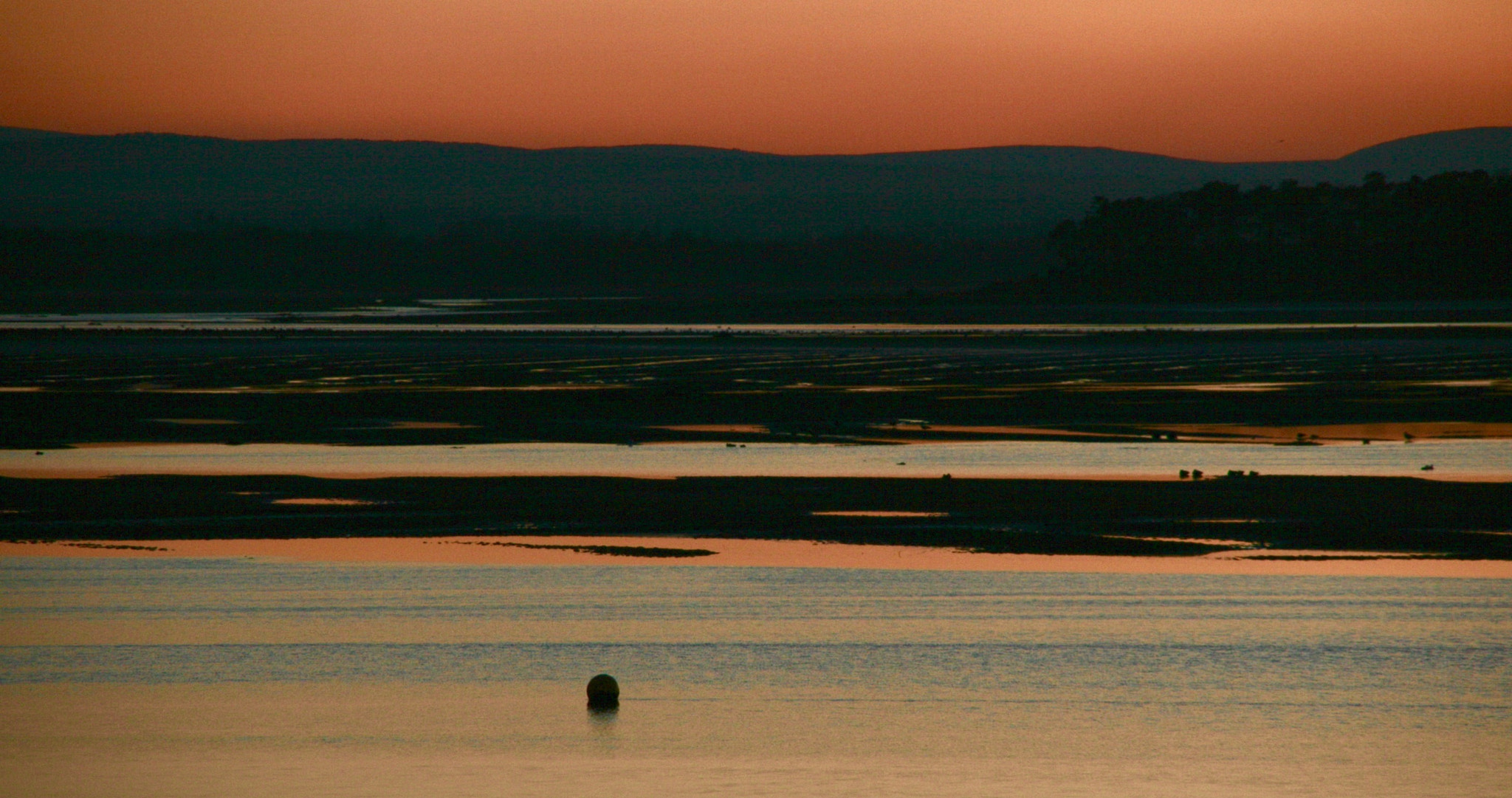 Sigma 18-200mm f/3.5-6.3 DC OS sample photo. Orange is my favourite colour photography