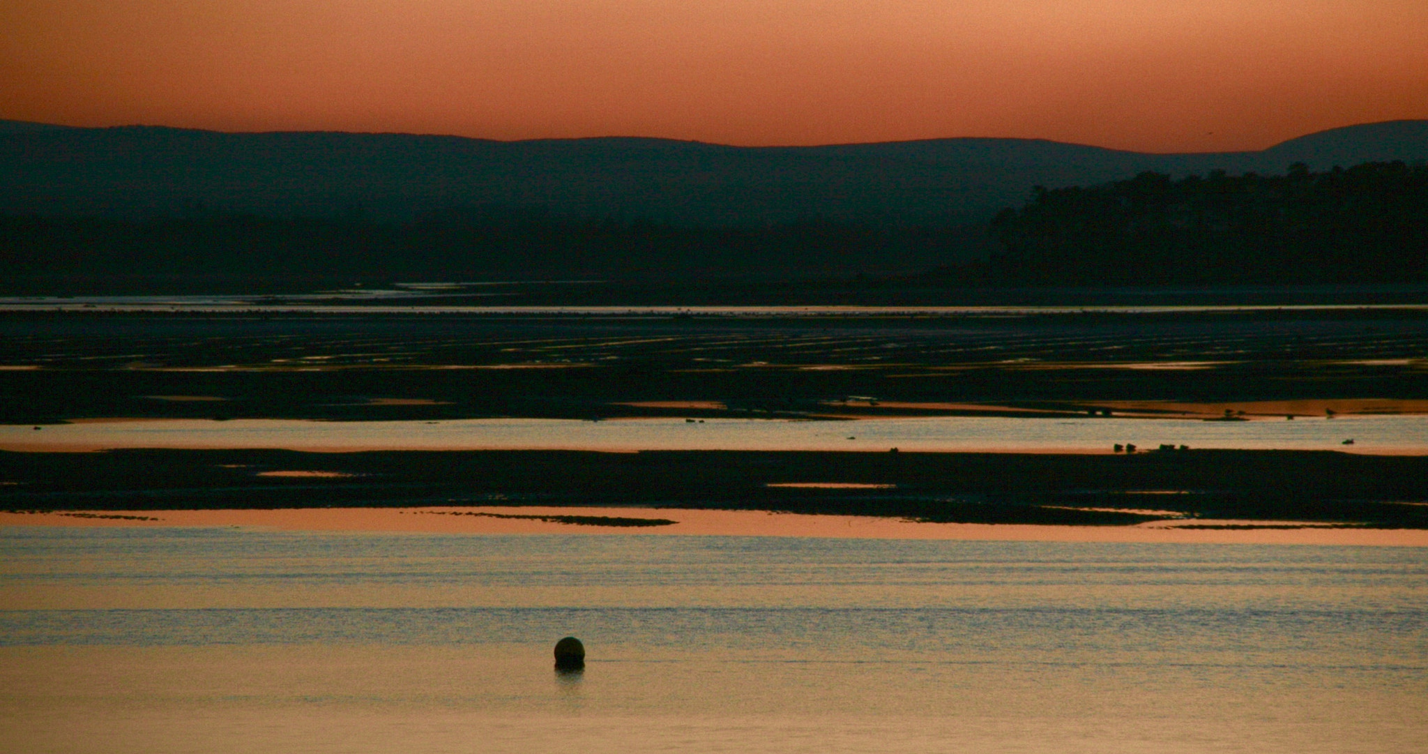 Canon EOS 400D (EOS Digital Rebel XTi / EOS Kiss Digital X) sample photo. Orange is my favourite colour photography