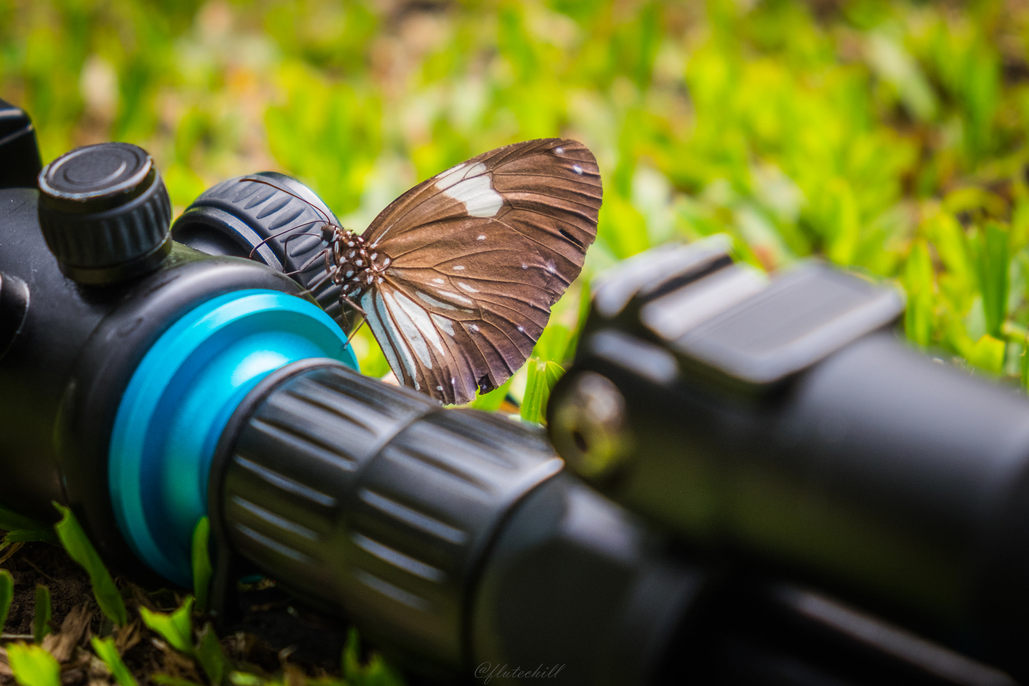 Fujifilm X-T1 sample photo. The butterfly photography