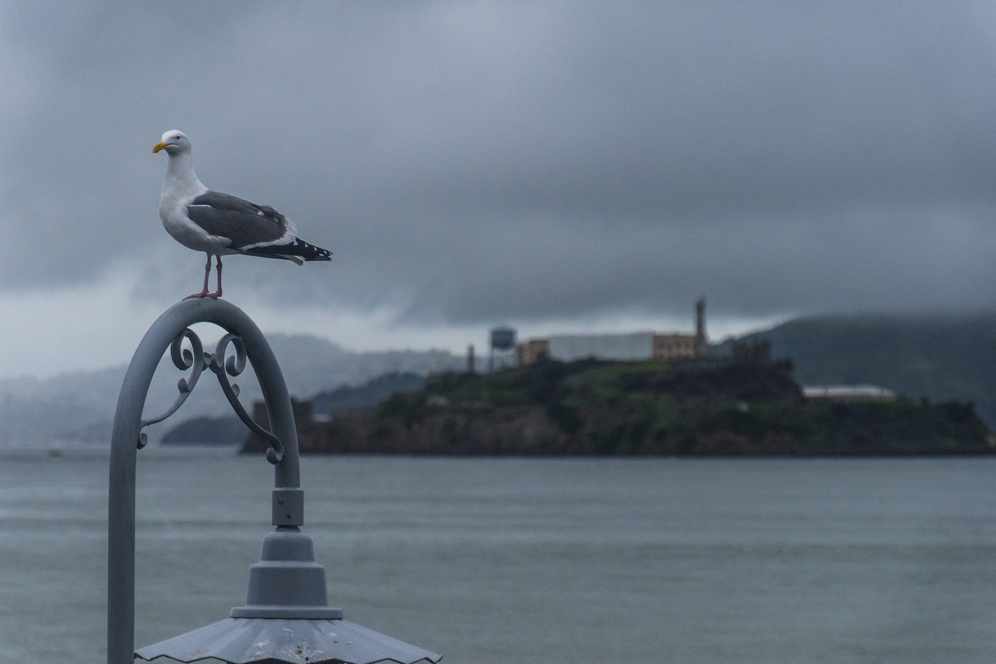 Nikon D810 sample photo. Fishermans wharf... photography