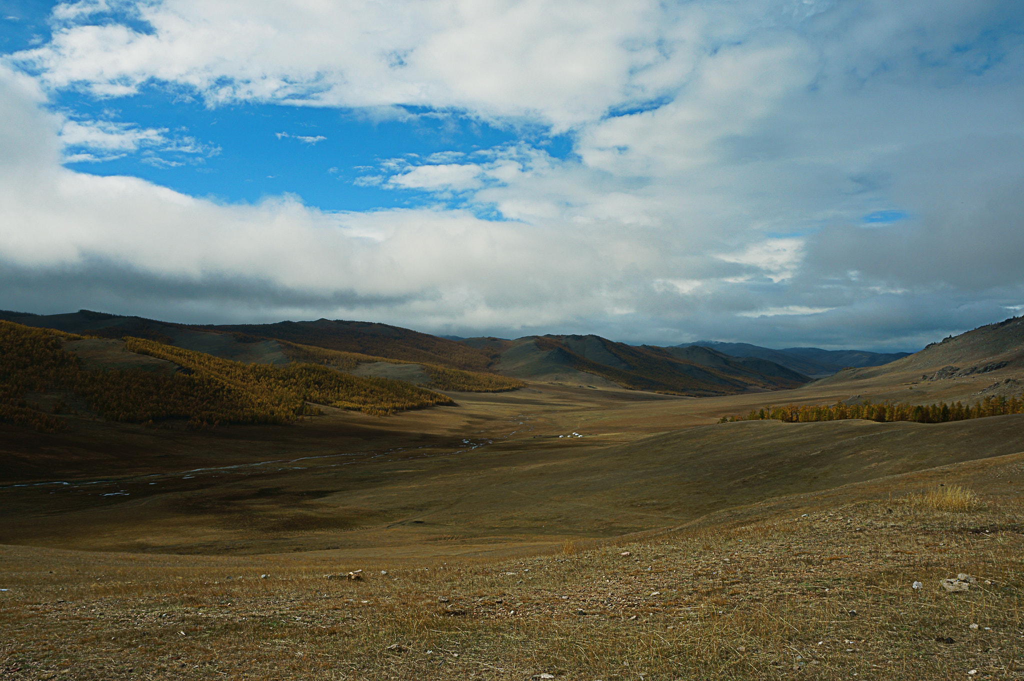 Sony Alpha NEX-6 sample photo. Grassland photography