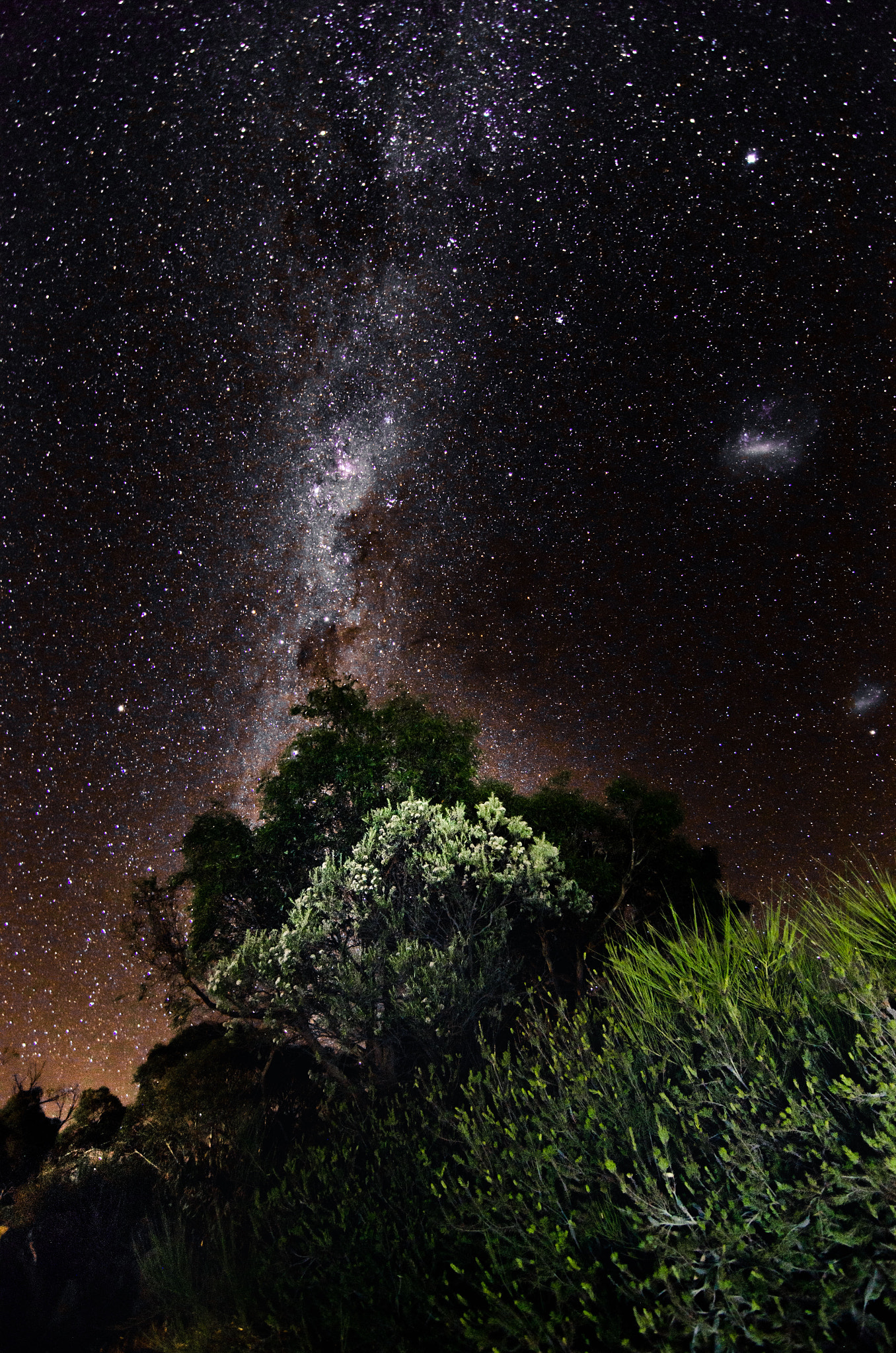 Nikon D5100 sample photo. Tasmanian night photography
