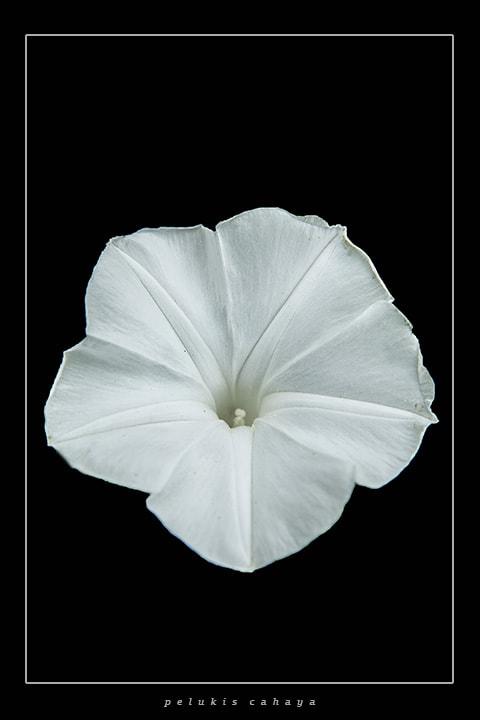 Nikon AF Nikkor 24-85mm F2.8-4D IF sample photo