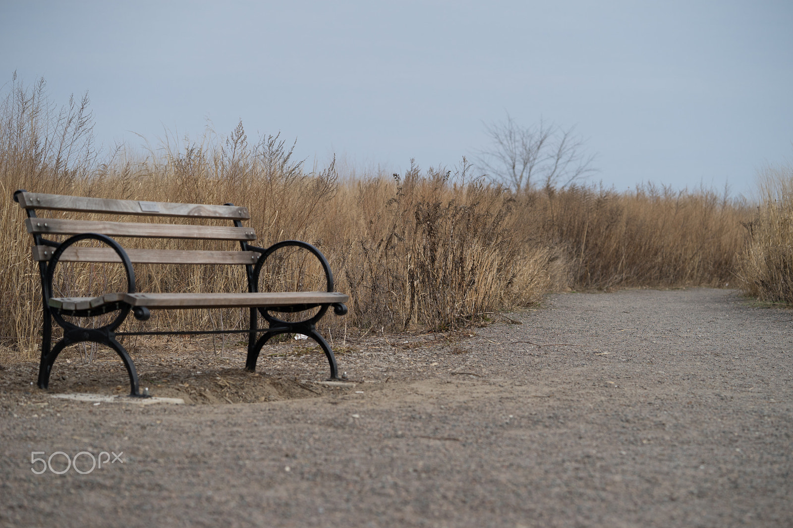 Sony a7 + Sony FE 90mm F2.8 Macro G OSS sample photo