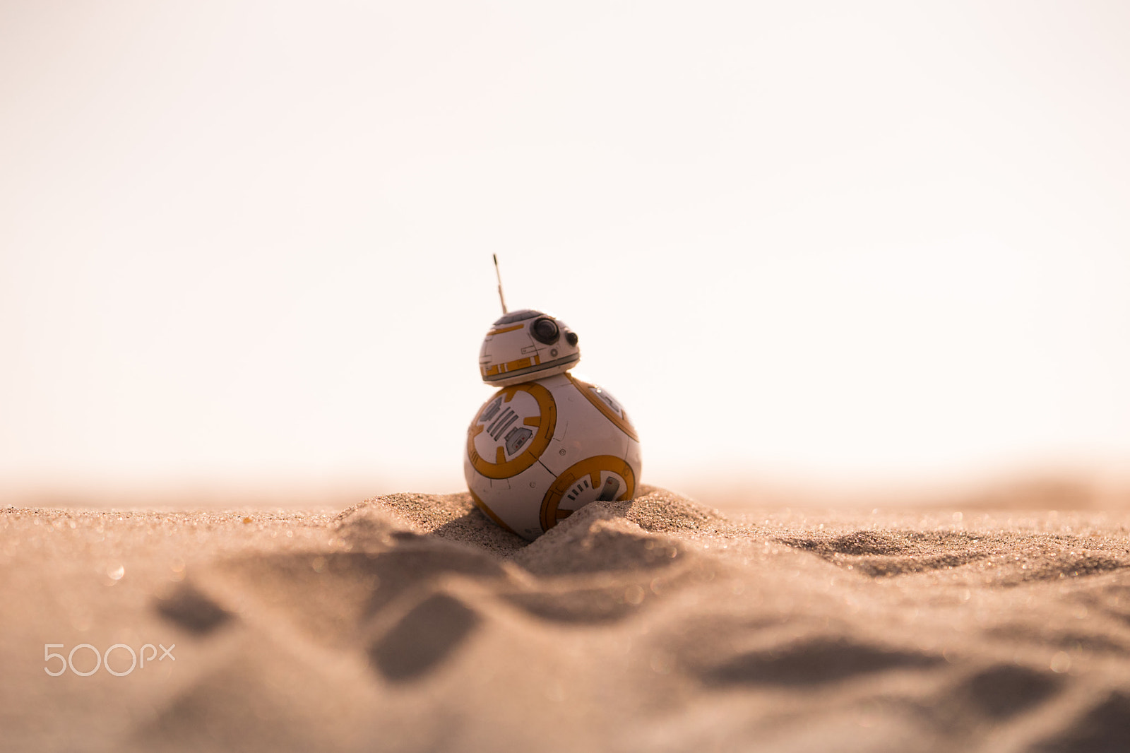 Sony a7 + Sony FE 90mm F2.8 Macro G OSS sample photo. Classified. photography