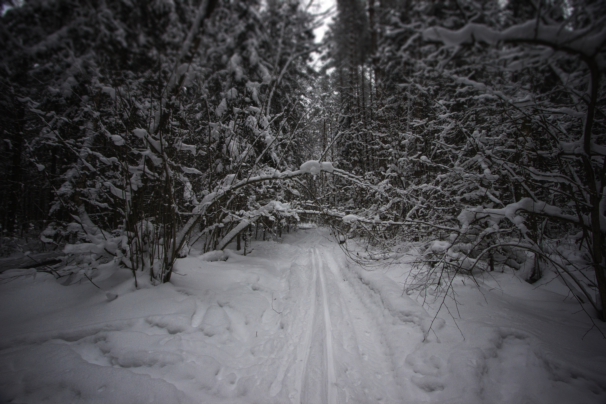 Canon EF-S 10-22mm F3.5-4.5 USM sample photo. In the winter fairy tale photography