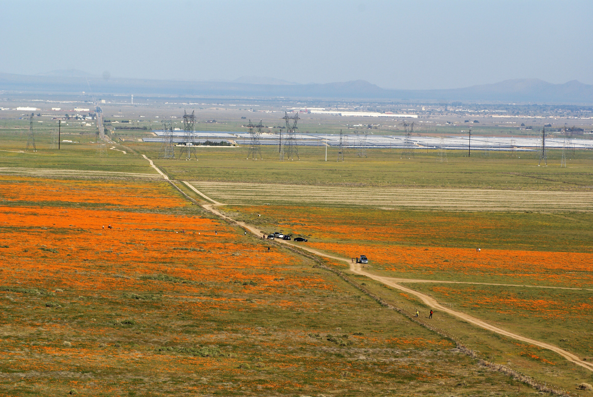 Sony 75-300mm F4.5-5.6 sample photo. Poppy flower field with solar power plant photography