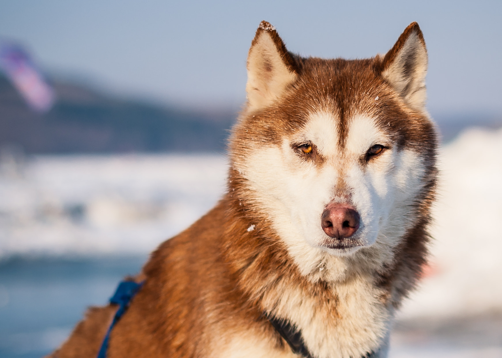 Nikon D700 + Nikon AF-S Nikkor 50mm F1.4G sample photo. Moon lake photography