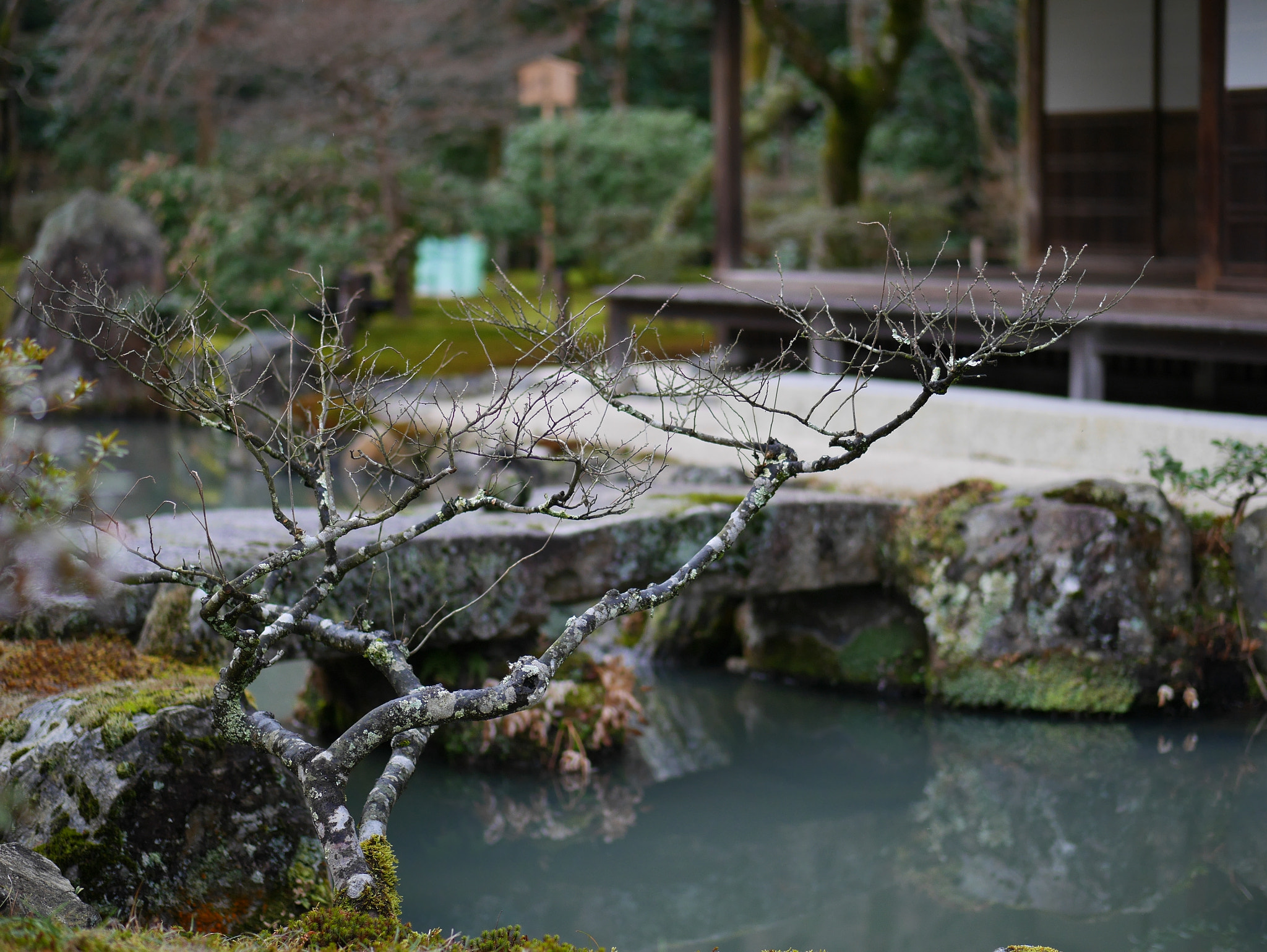 Panasonic Lumix G 42.5mm F1.7 ASPH Power OIS sample photo. Japanese old garden in kyoto photography
