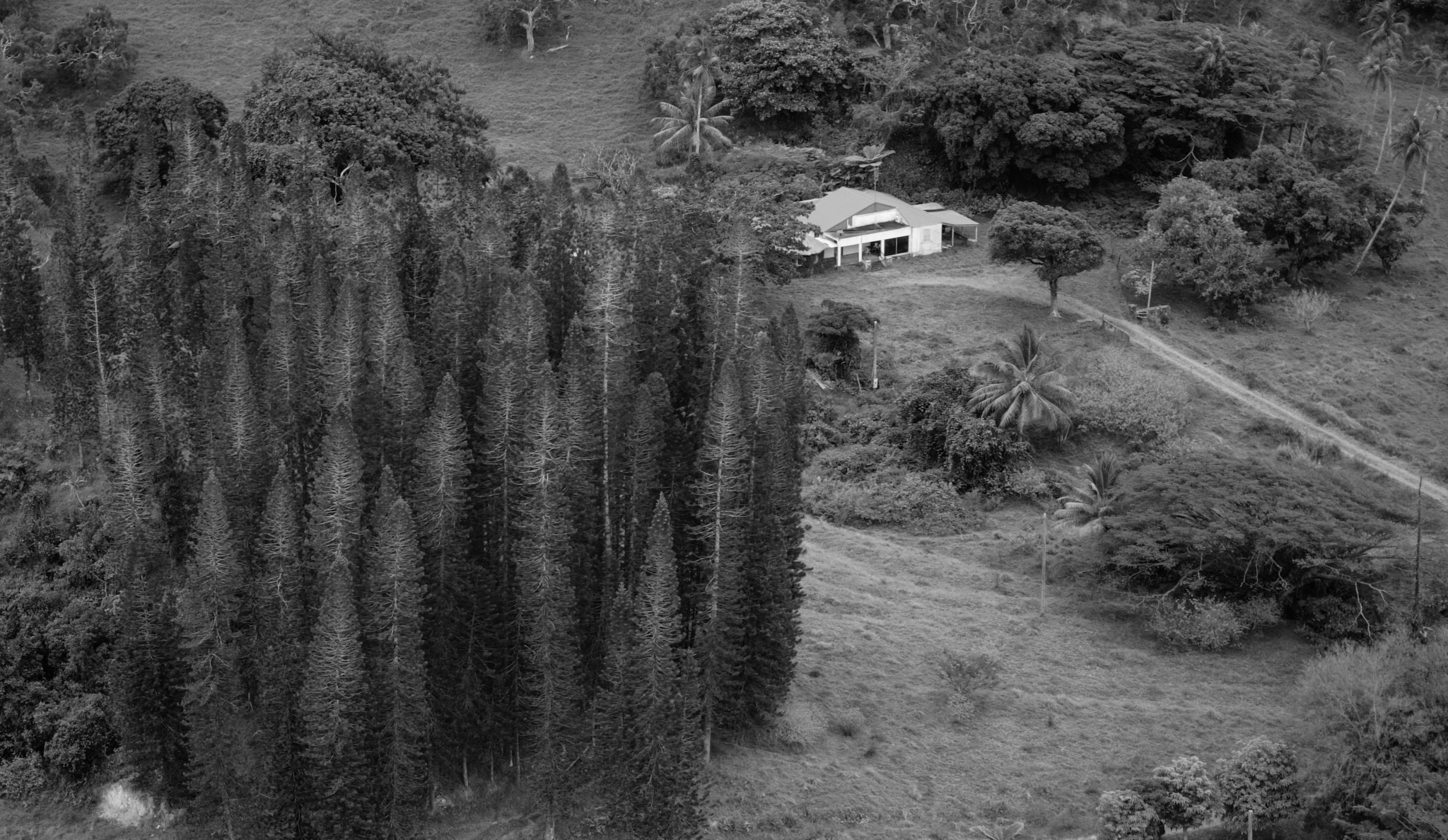 Sony a7S sample photo. New caledonia farm, ponerihouen. photography