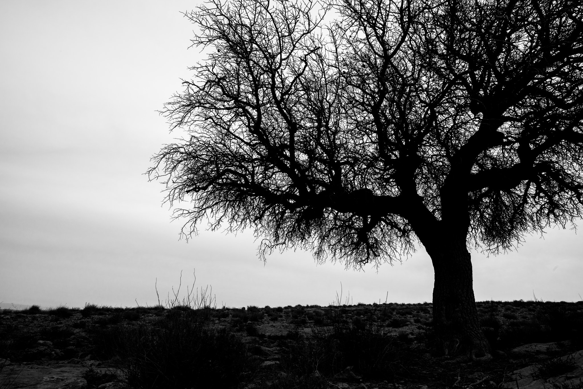 IX-Nikkor 30-60mm f/4-5.6 sample photo. He always there photography
