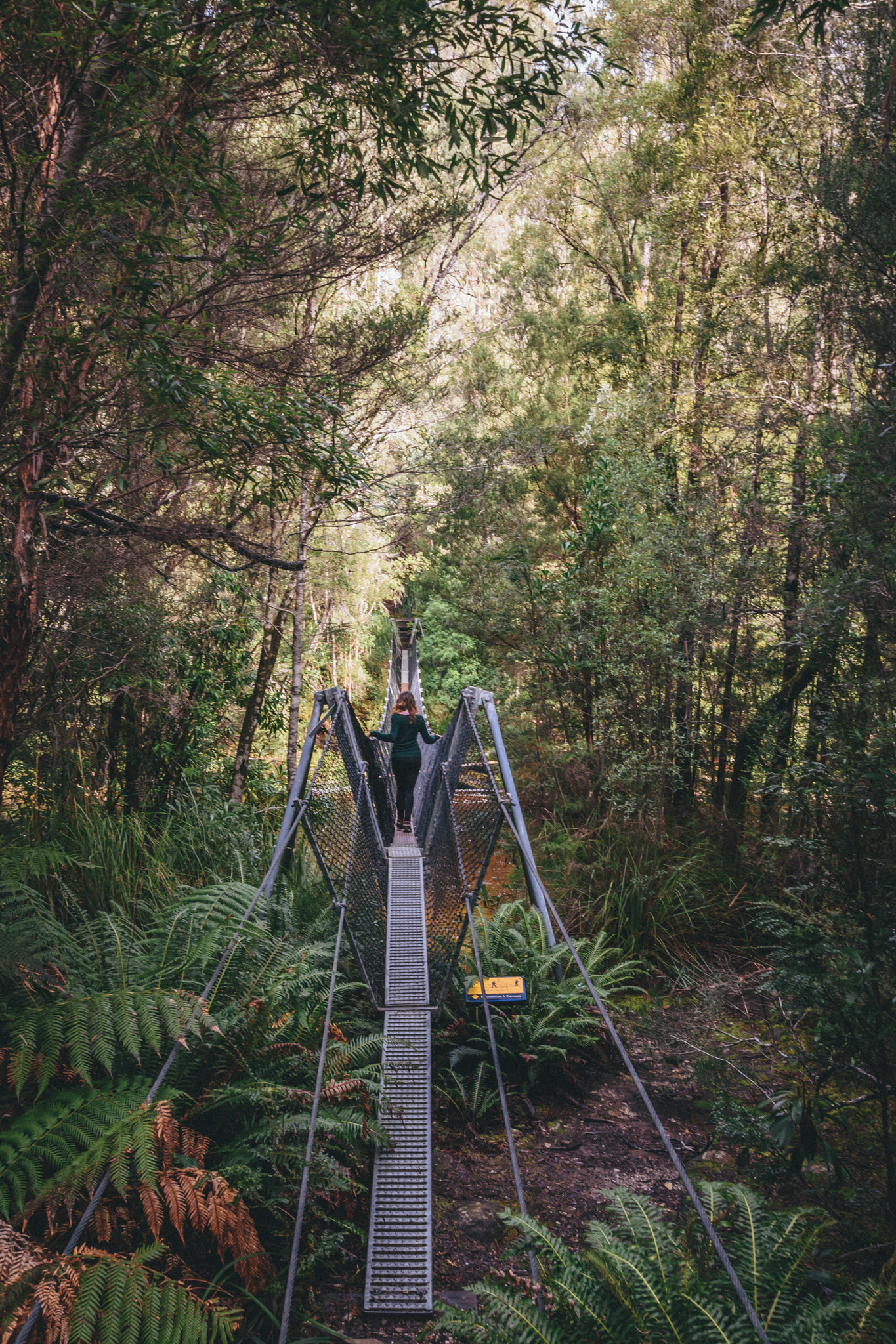 Nikon D7200 sample photo. Bridge across the franklin photography