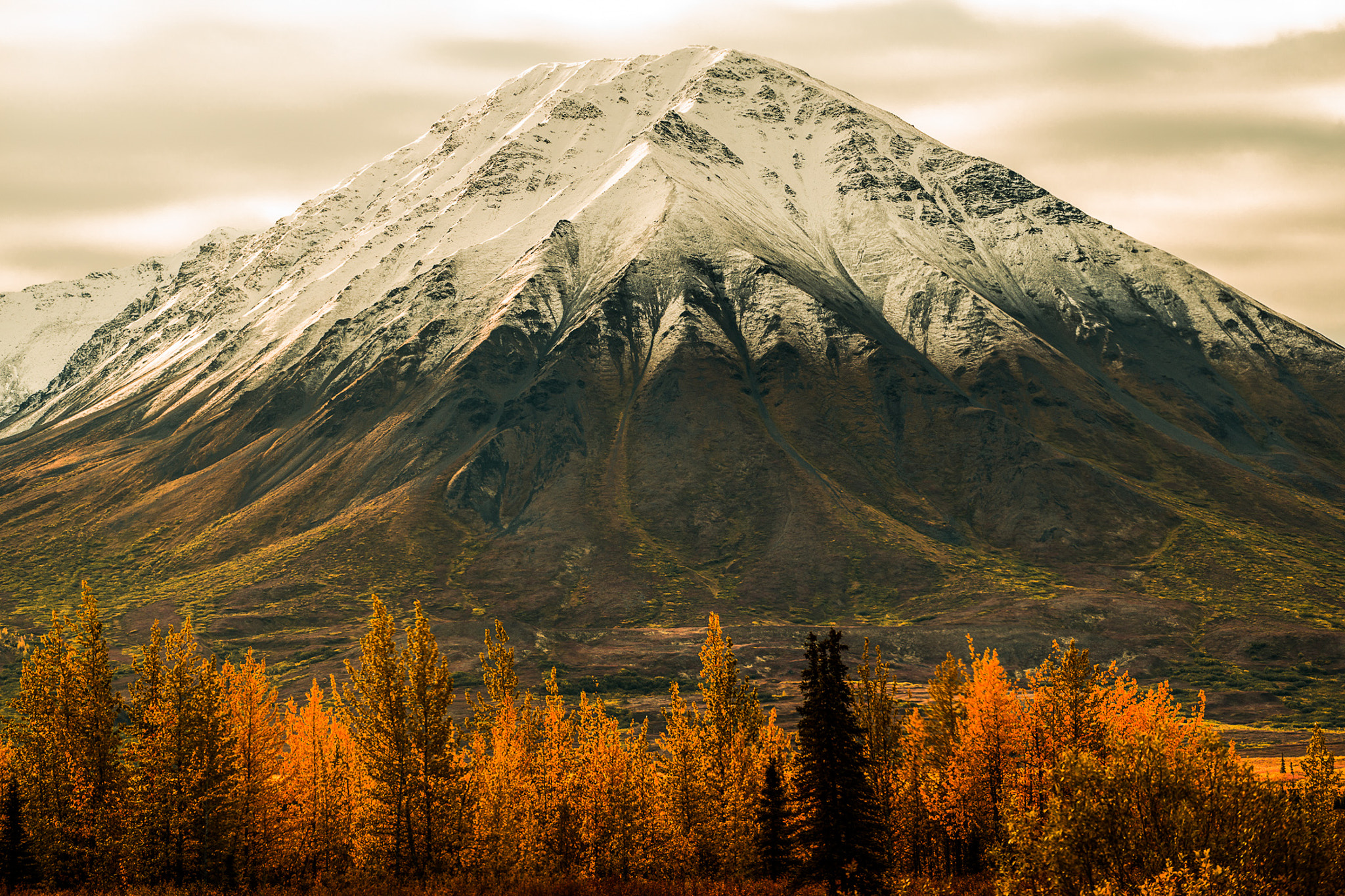 Nikon D800 sample photo. Alaska land of fire and ice denali snowstorm photography