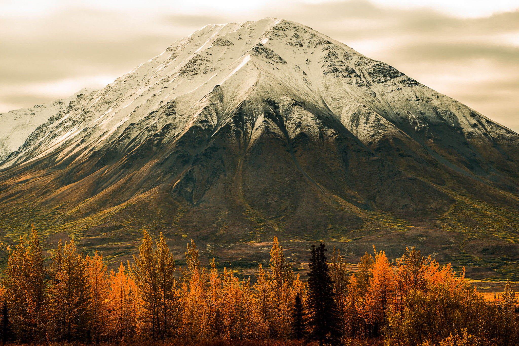 Nikon D800 + Nikon AF-S Nikkor 70-200mm F4G ED VR sample photo. Alaska land of fire and ice denali snowstorm photography