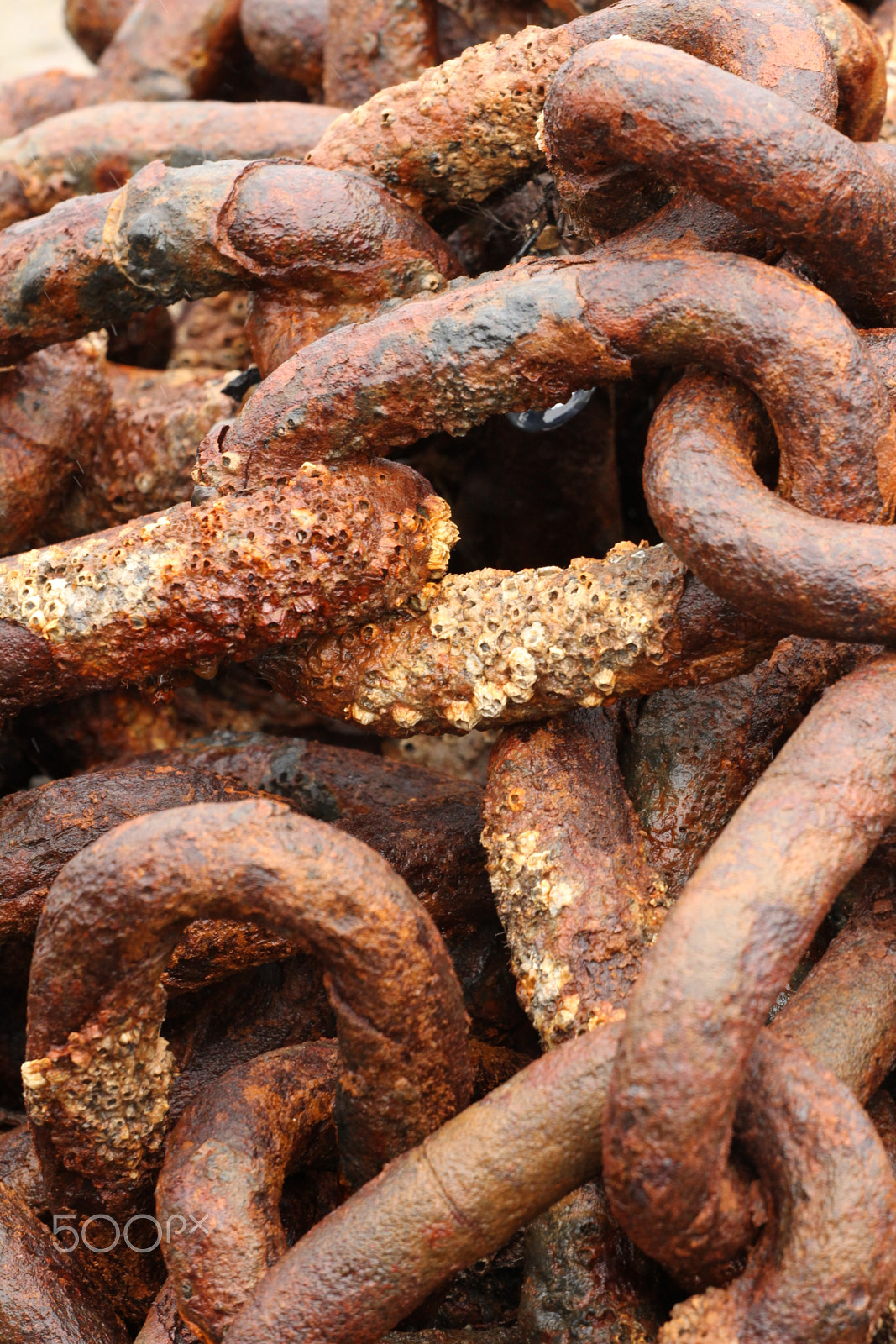 Canon EOS 60D + Canon EF 70-200mm F4L USM sample photo. Rusty chains photography