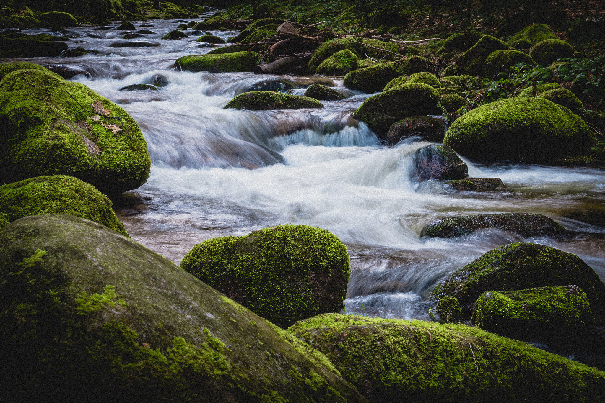 Nikon D7200 sample photo. Springflow photography