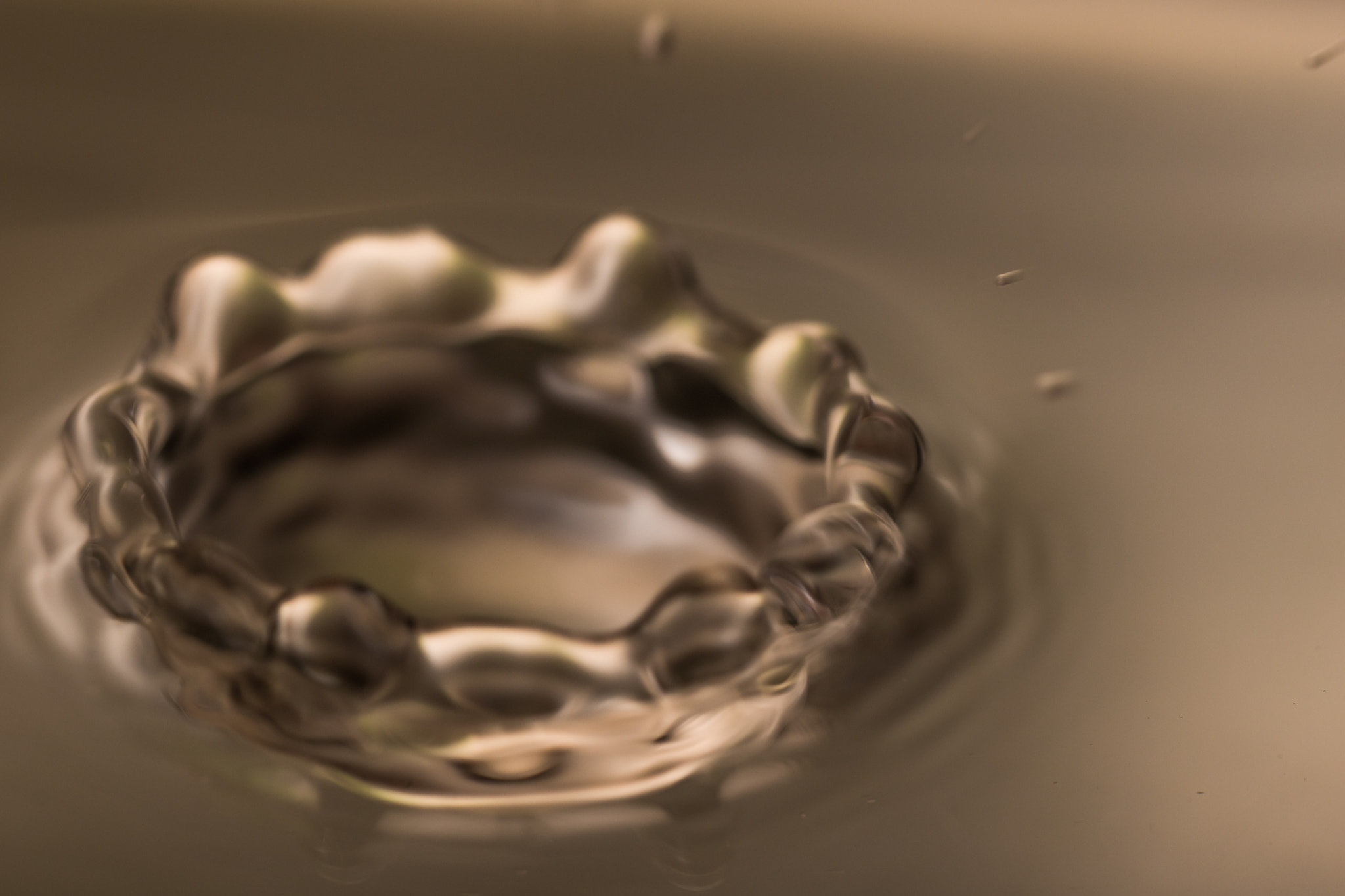 Sigma 105mm F2.8 EX DG OS HSM sample photo. Crown of water photography