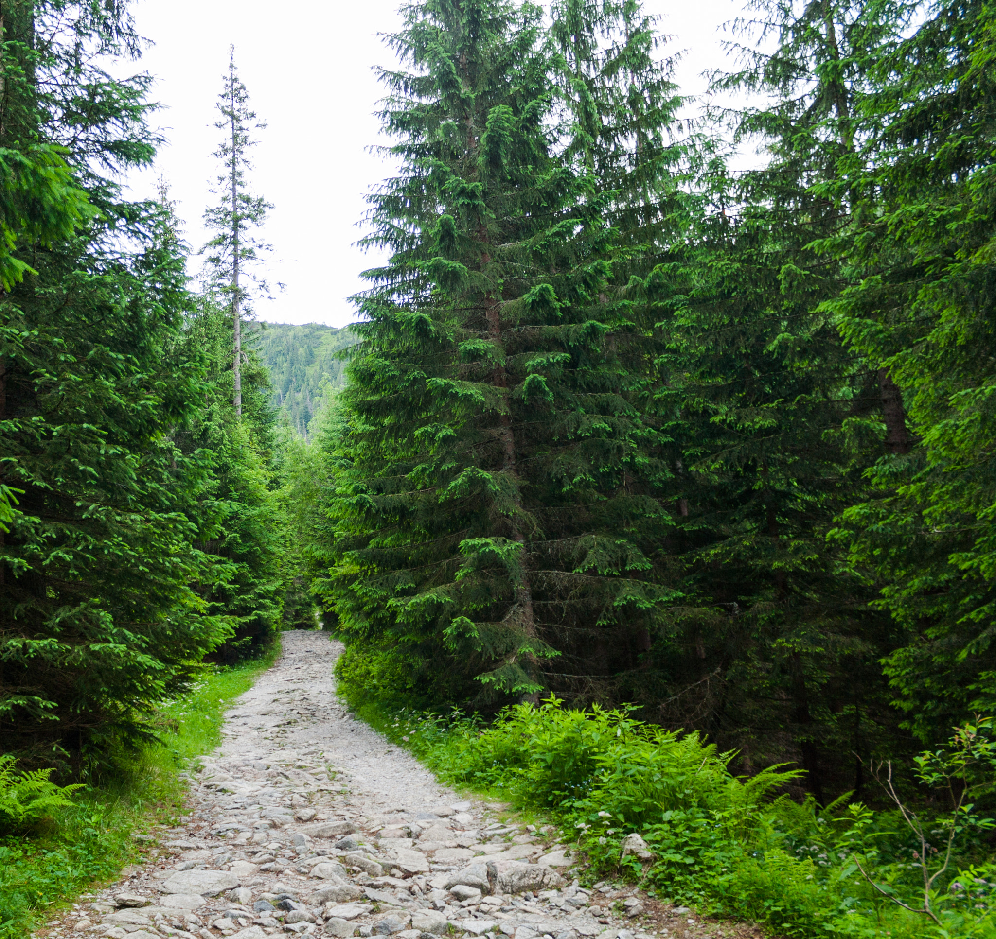 Canon EF-S 18-55mm F3.5-5.6 IS sample photo. Tatry photography