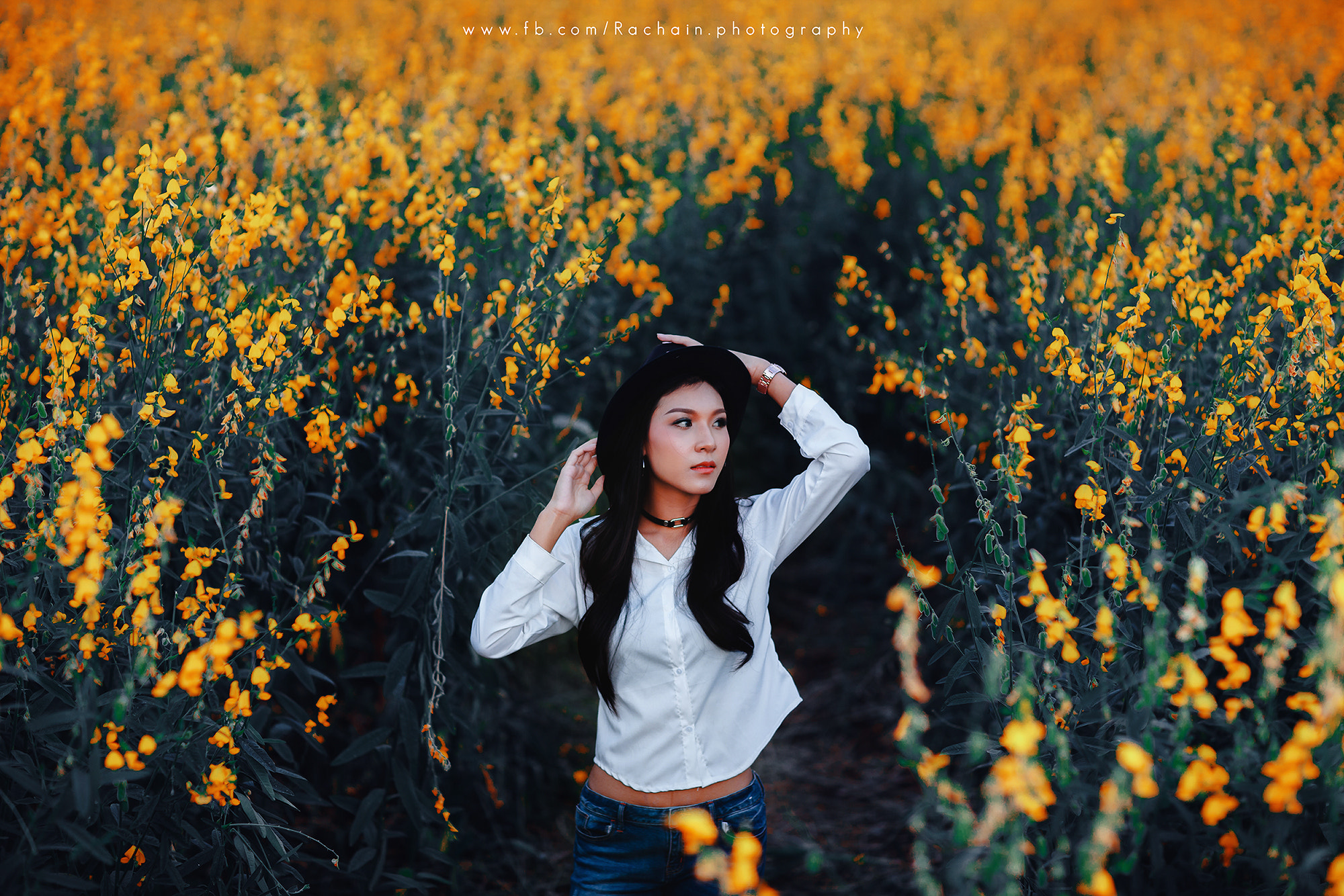 Canon EF 85mm F1.2L II USM sample photo. Up photography