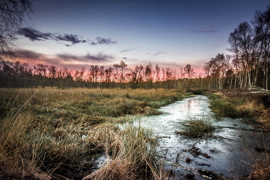 Canon EOS 70D + Sigma 10-20mm F4-5.6 EX DC HSM sample photo. Venner moor landscape photography