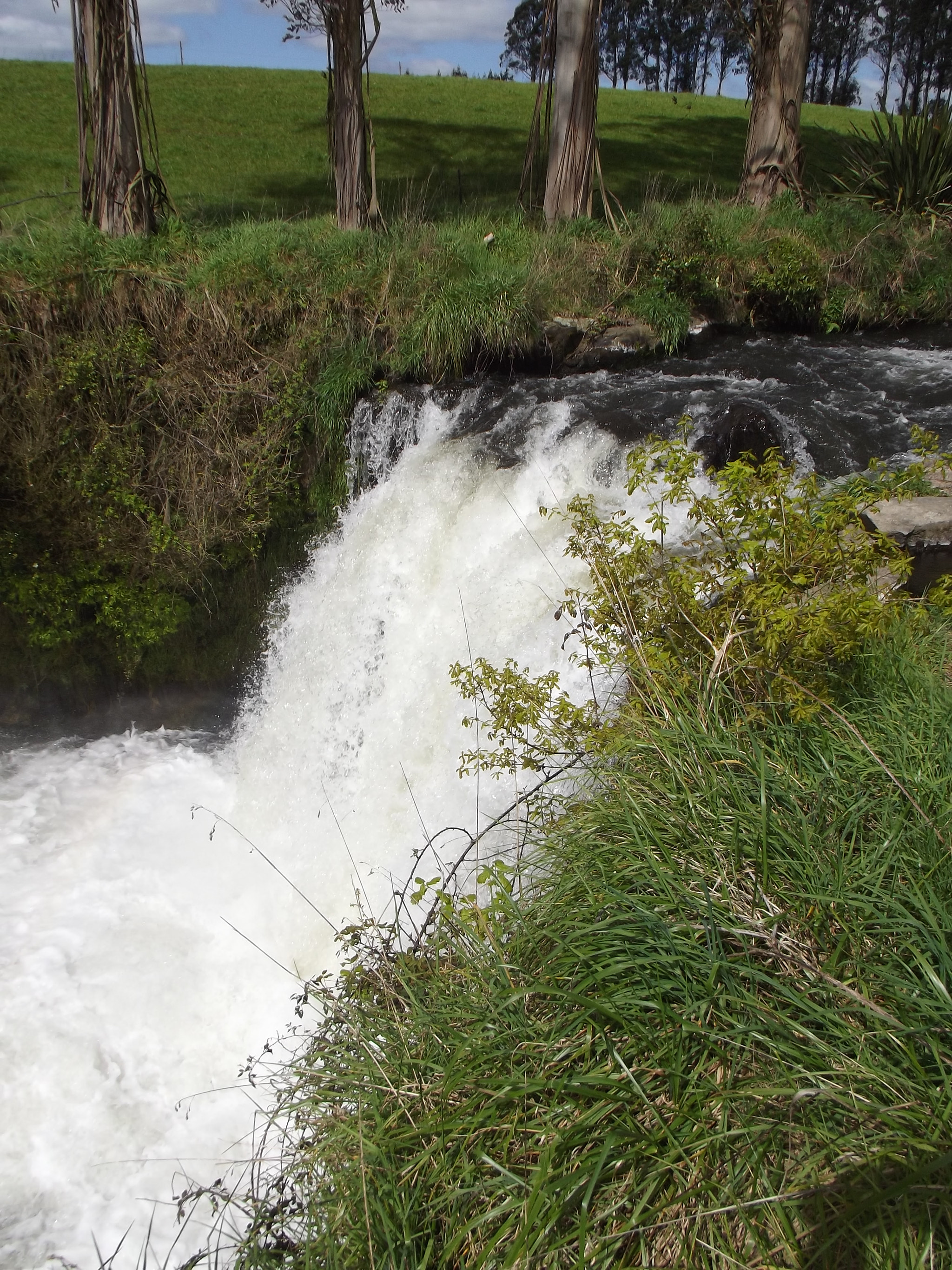 Fujifilm FinePix S2960 sample photo. Arapuni creek photography