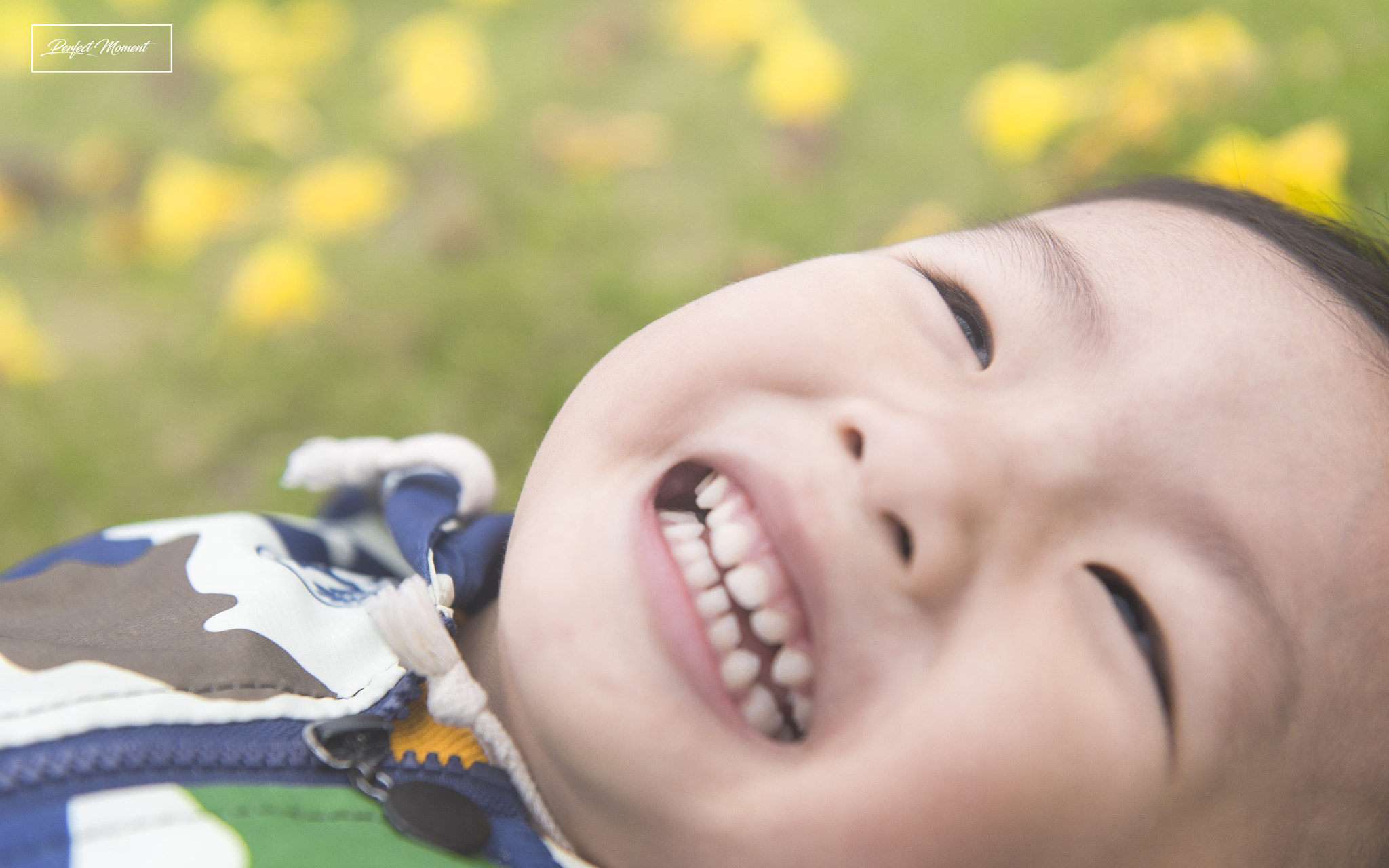 Nikon AF-S Nikkor 24-70mm F2.8G ED sample photo. Skt photography
