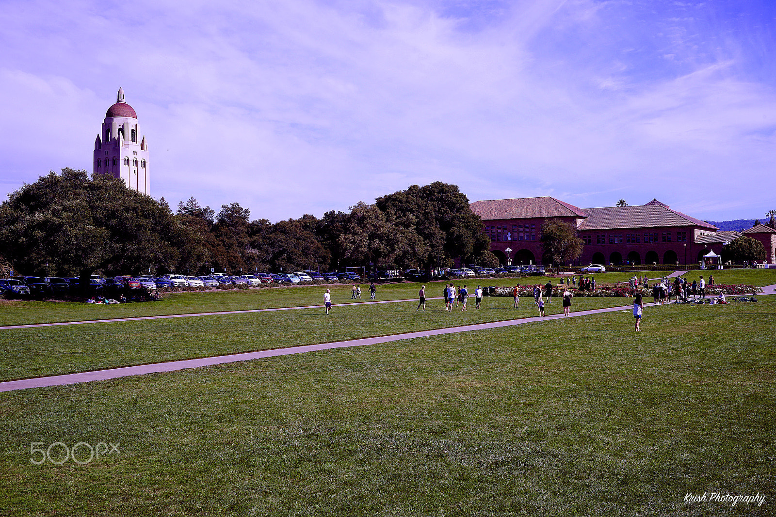 Sony Vario Tessar T* FE 24-70mm F4 ZA OSS sample photo. Stanford university photography