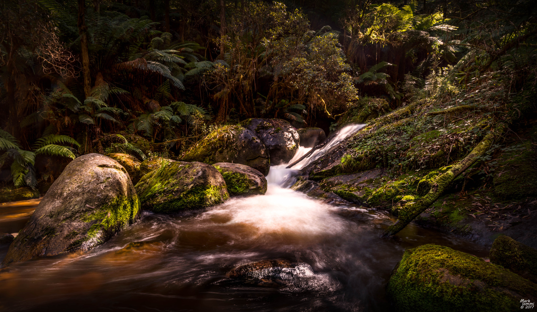 Pentax K-1 sample photo. Toorongo river photography