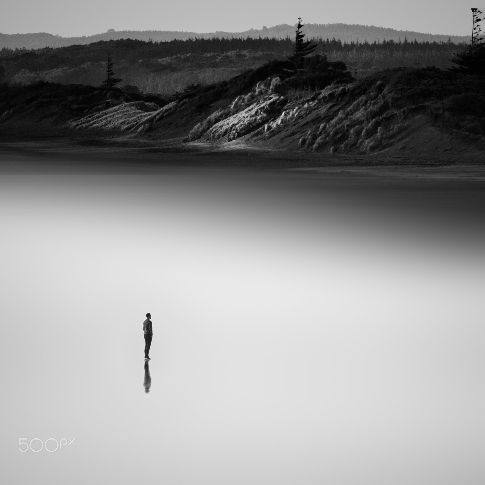 Canon EOS 6D + Canon EF 300mm f/4L sample photo. Facing the world alone photography