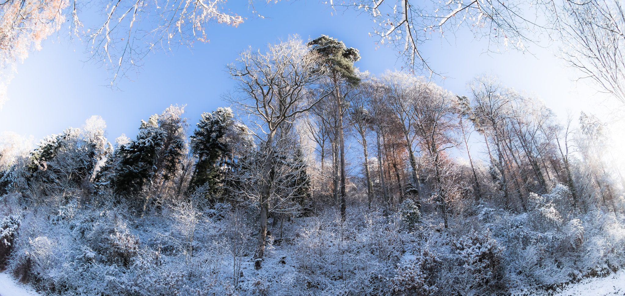 Nikon AF DX Fisheye-Nikkor 10.5mm F2.8G ED sample photo. Fisheye winter photography