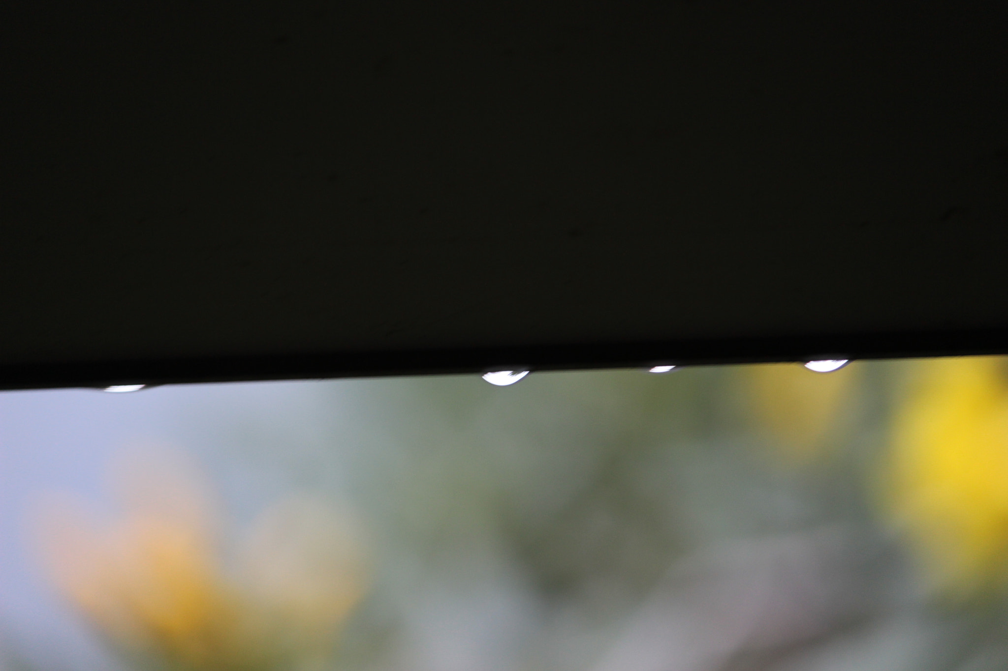 Canon EF-S 55-250mm F4-5.6 IS sample photo