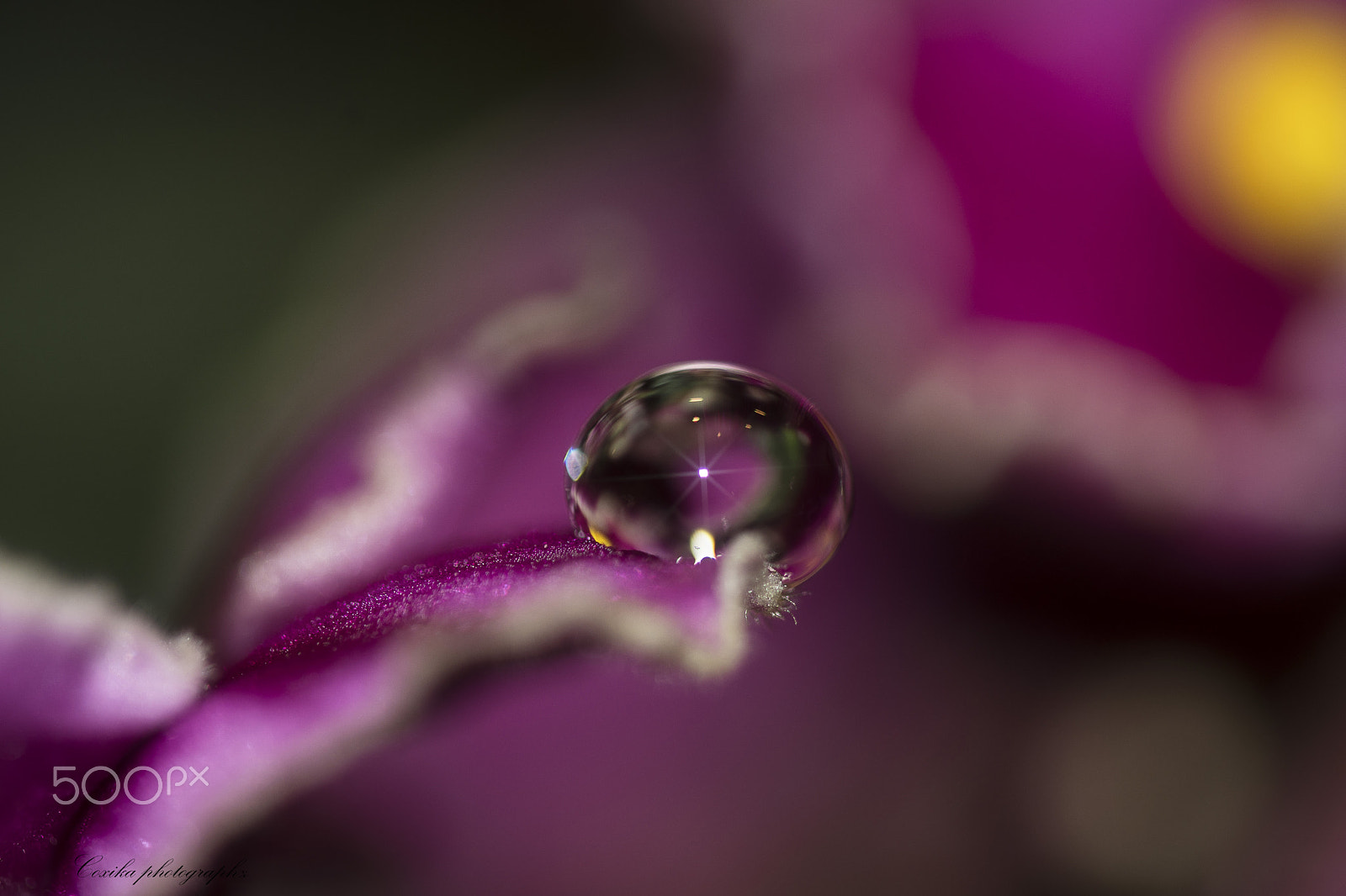Nikon D7200 sample photo. Drop .. photography