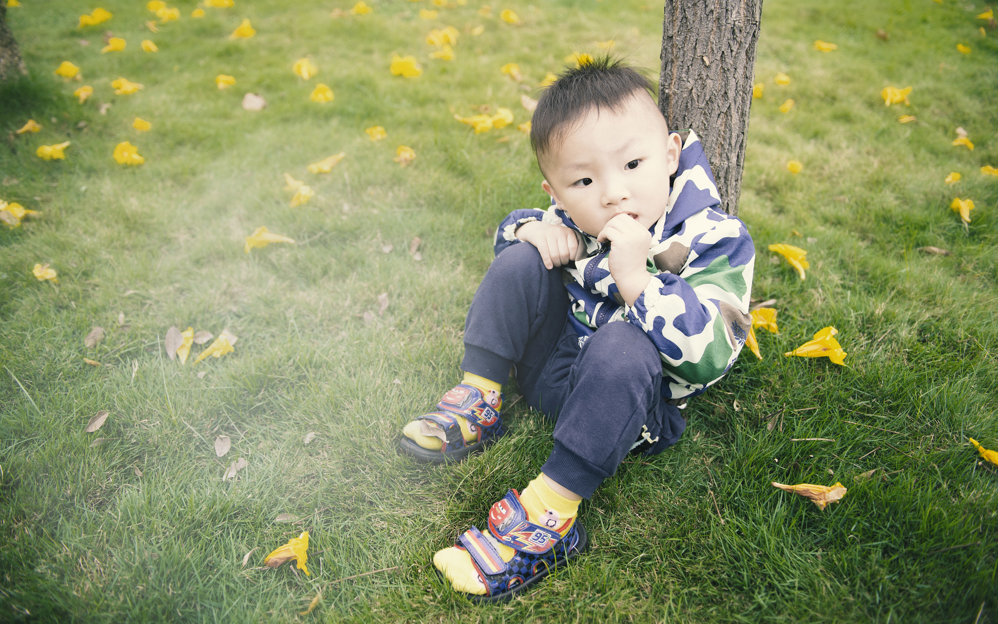 Nikon AF-S Nikkor 24-70mm F2.8G ED sample photo. Skt photography