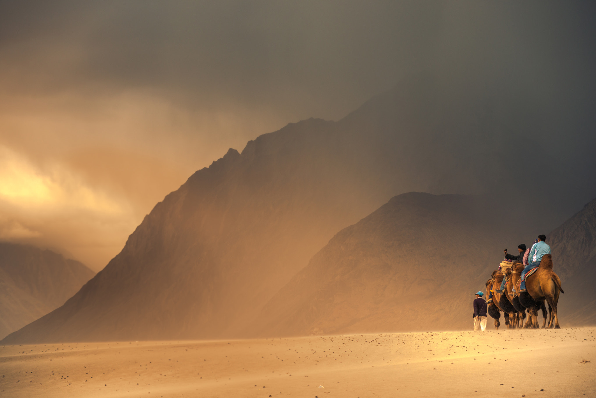 Nikon D800E sample photo. Nubra valley photography
