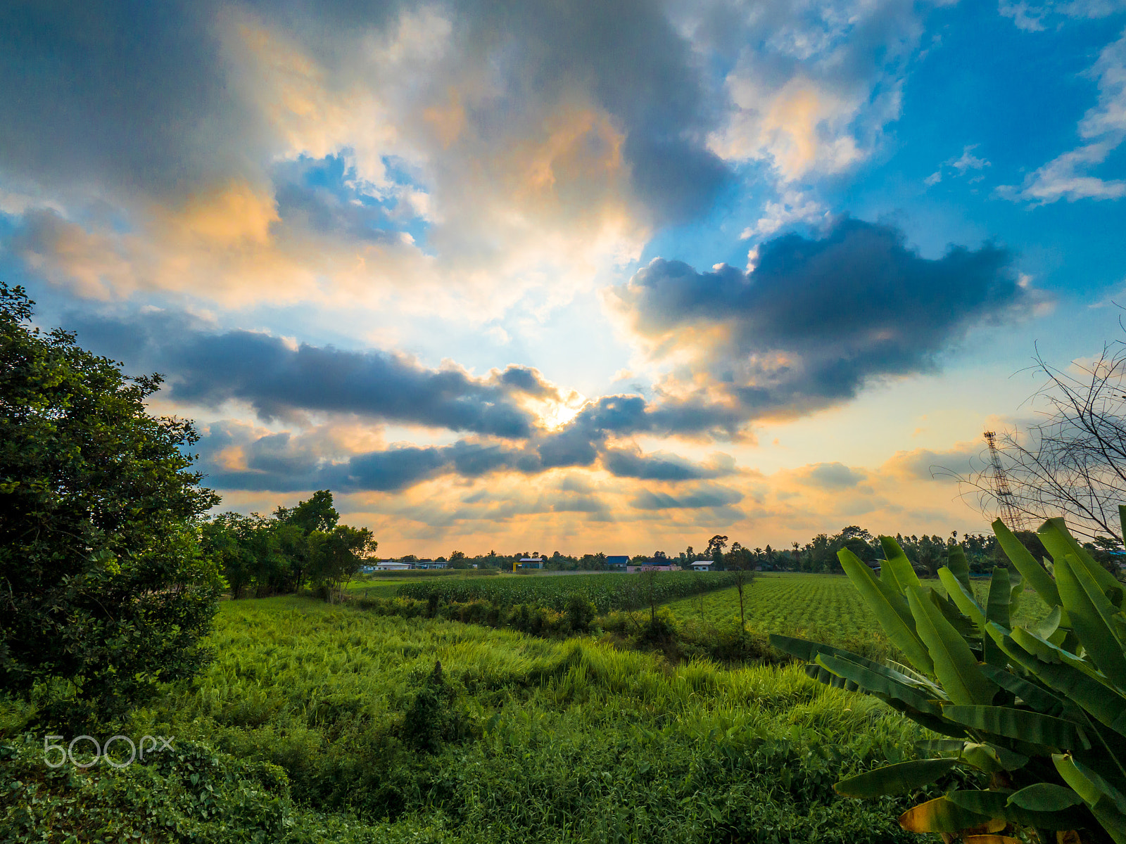 Olympus OM-D E-M5 II sample photo. Sunset in green field, spring landscape, bright colorful sky and clouds as background photography