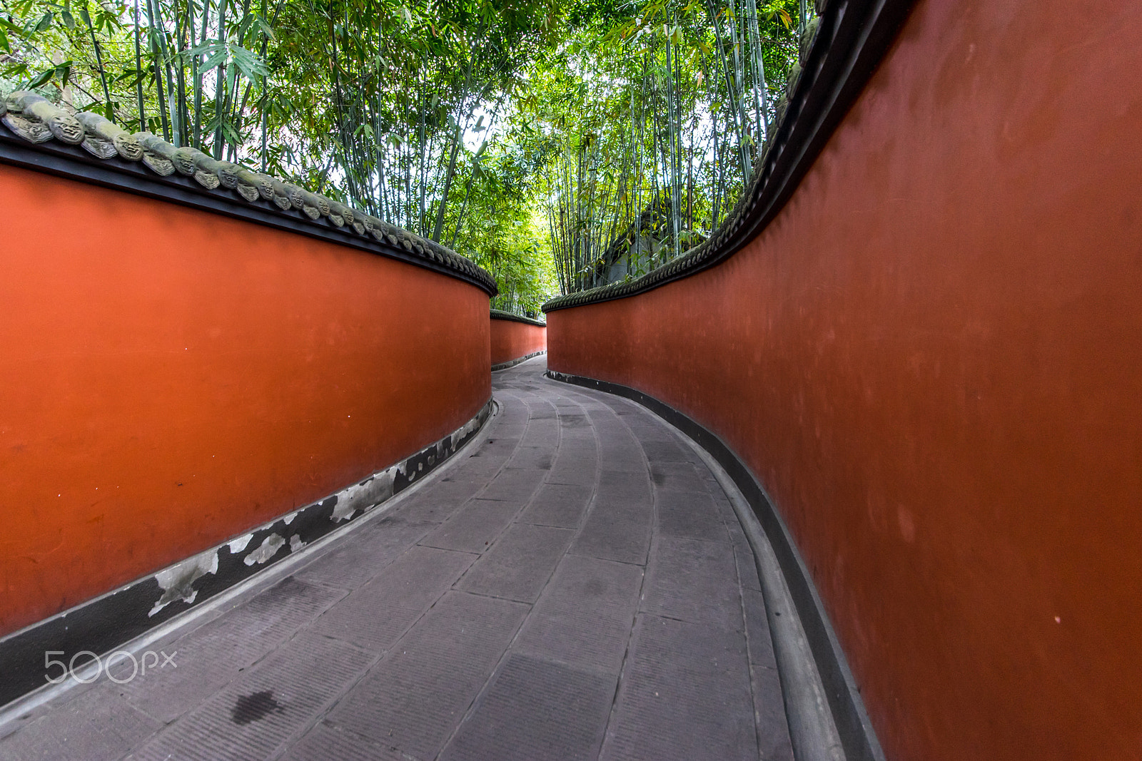 Sony a7 II sample photo. Red wall photography