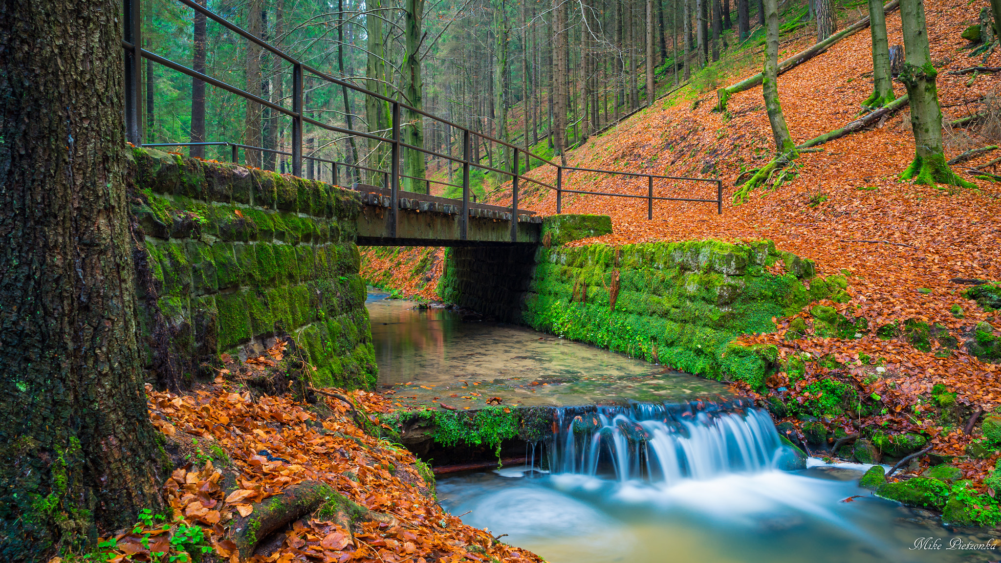 Sony a7 II + ZEISS Batis 25mm F2 sample photo. Elbsandsteingebirge photography