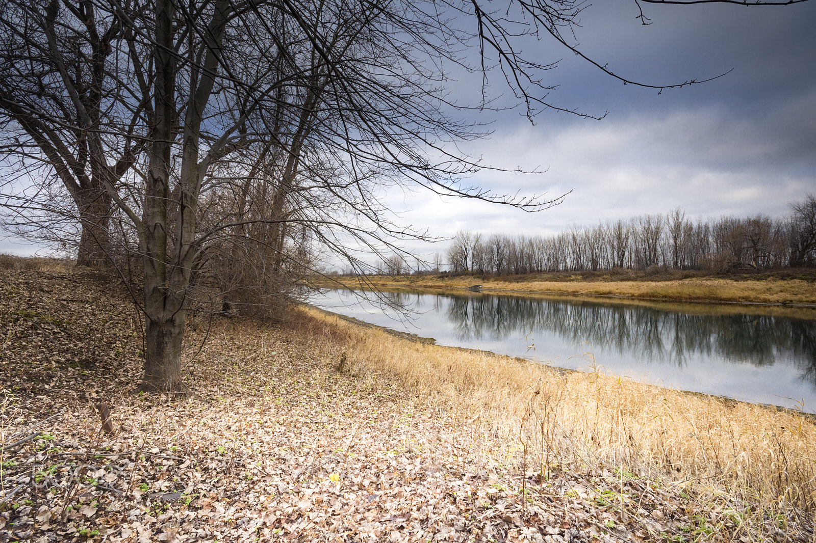 Sigma 10-20mm F4-5.6 EX DC HSM sample photo. Winter landscape photography