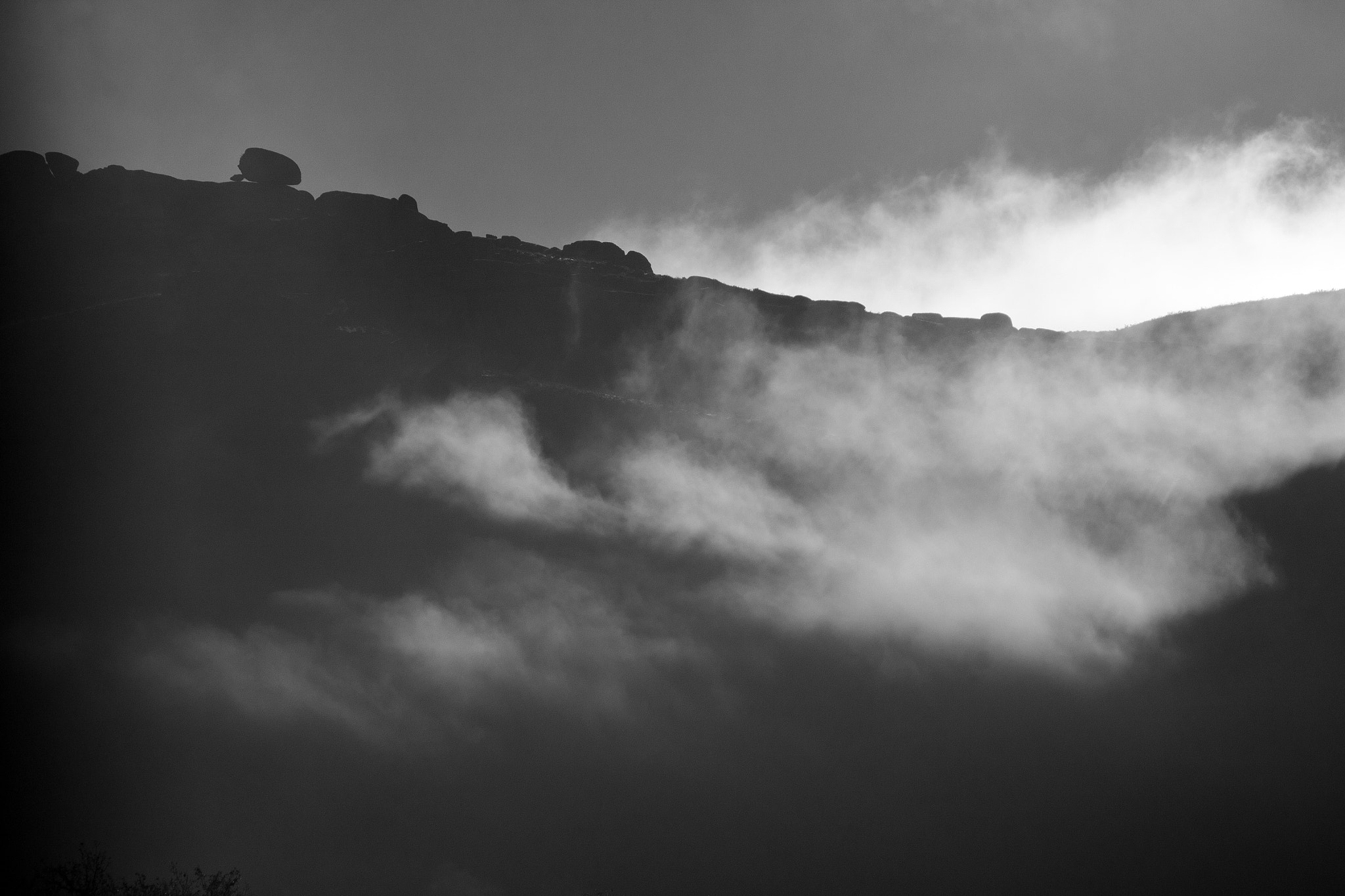 Canon EF-S 55-250mm F4-5.6 IS sample photo. ...misty morning... photography