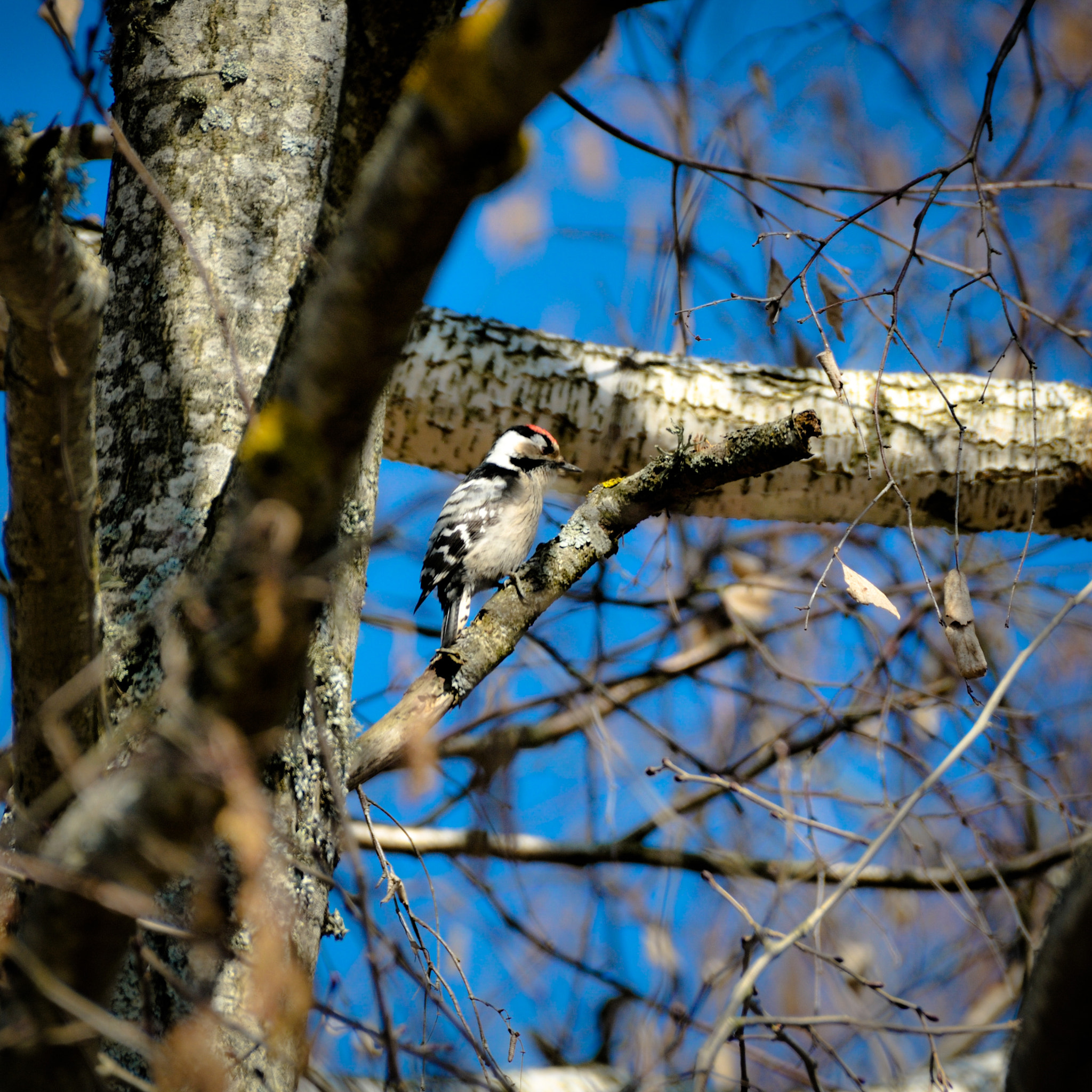 Nikon D300 sample photo. Spring mood photography