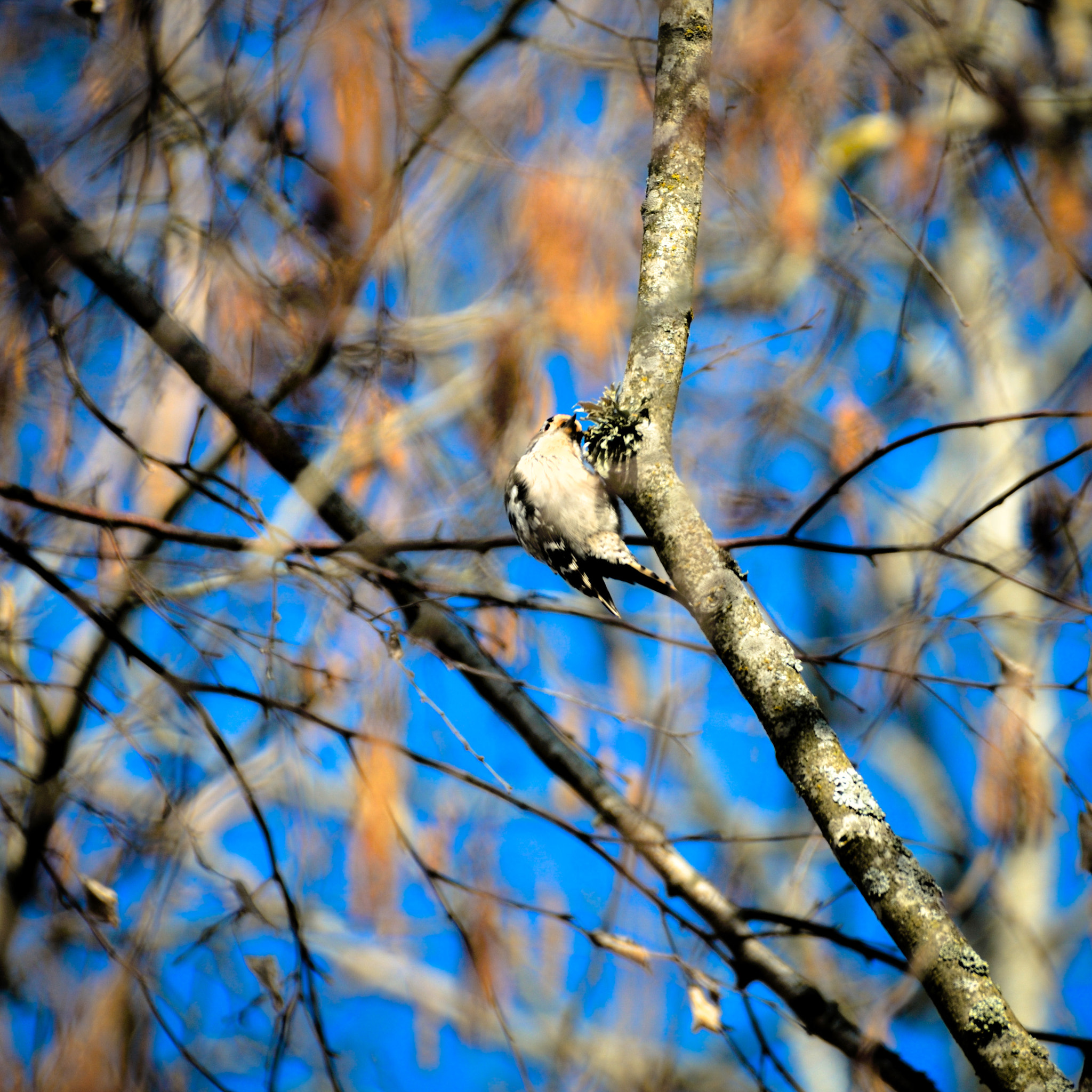 Nikon D300 sample photo. Spring mood photography