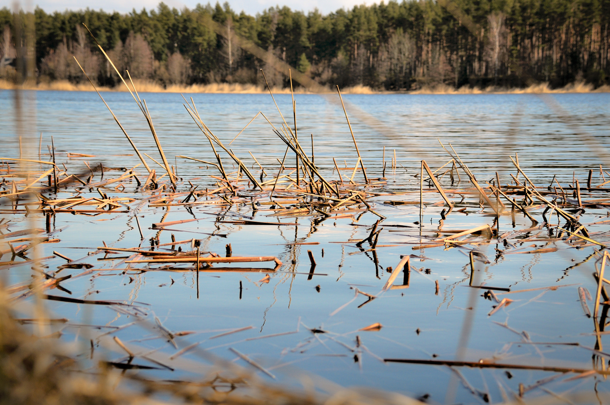 Nikon D300 sample photo. Spring mood photography