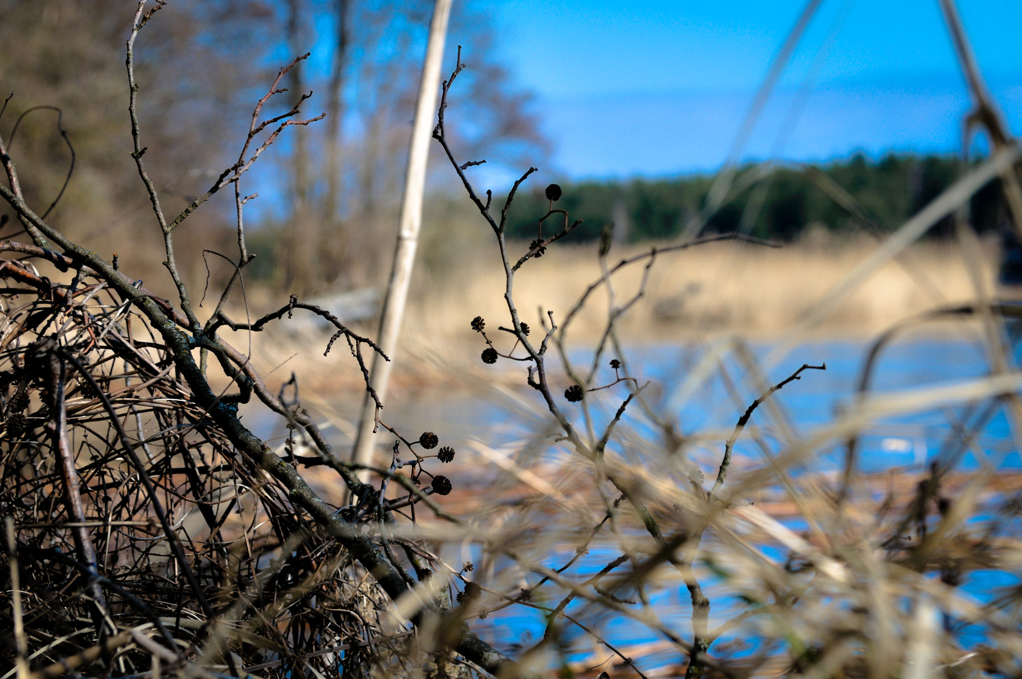 Nikon D300 sample photo. Spring mood photography