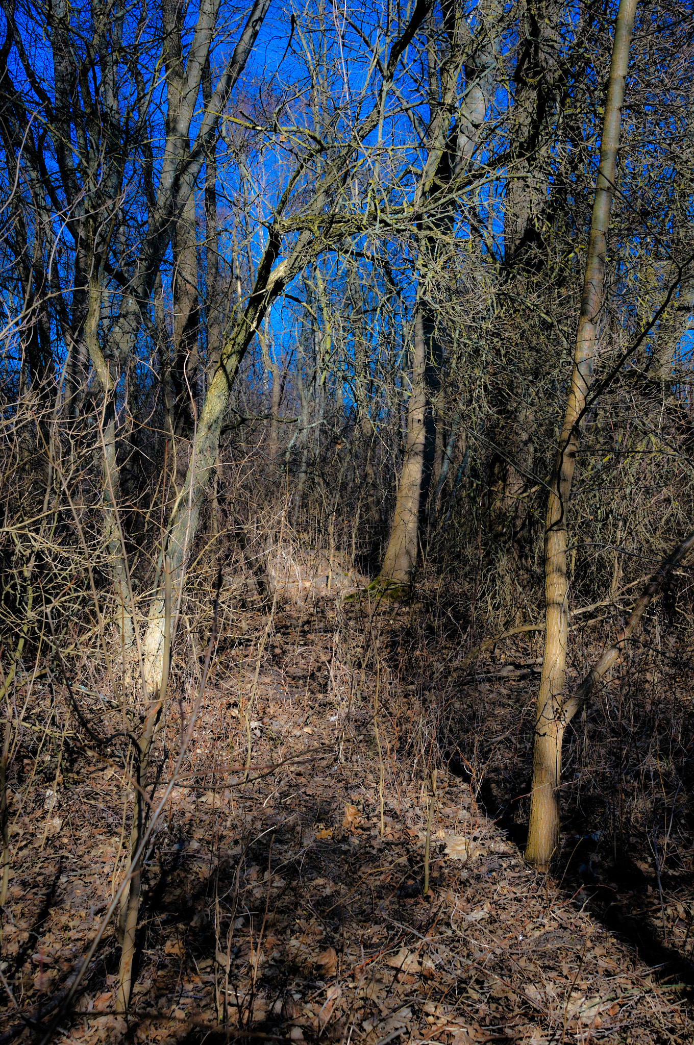 Nikon D300 sample photo. Spring mood photography