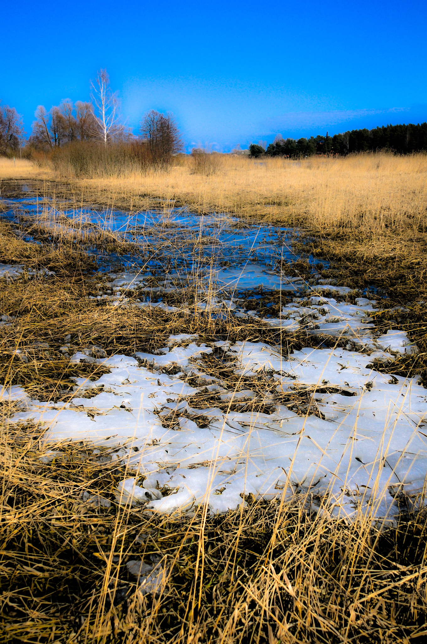 Nikon D300 sample photo. Spring mood photography