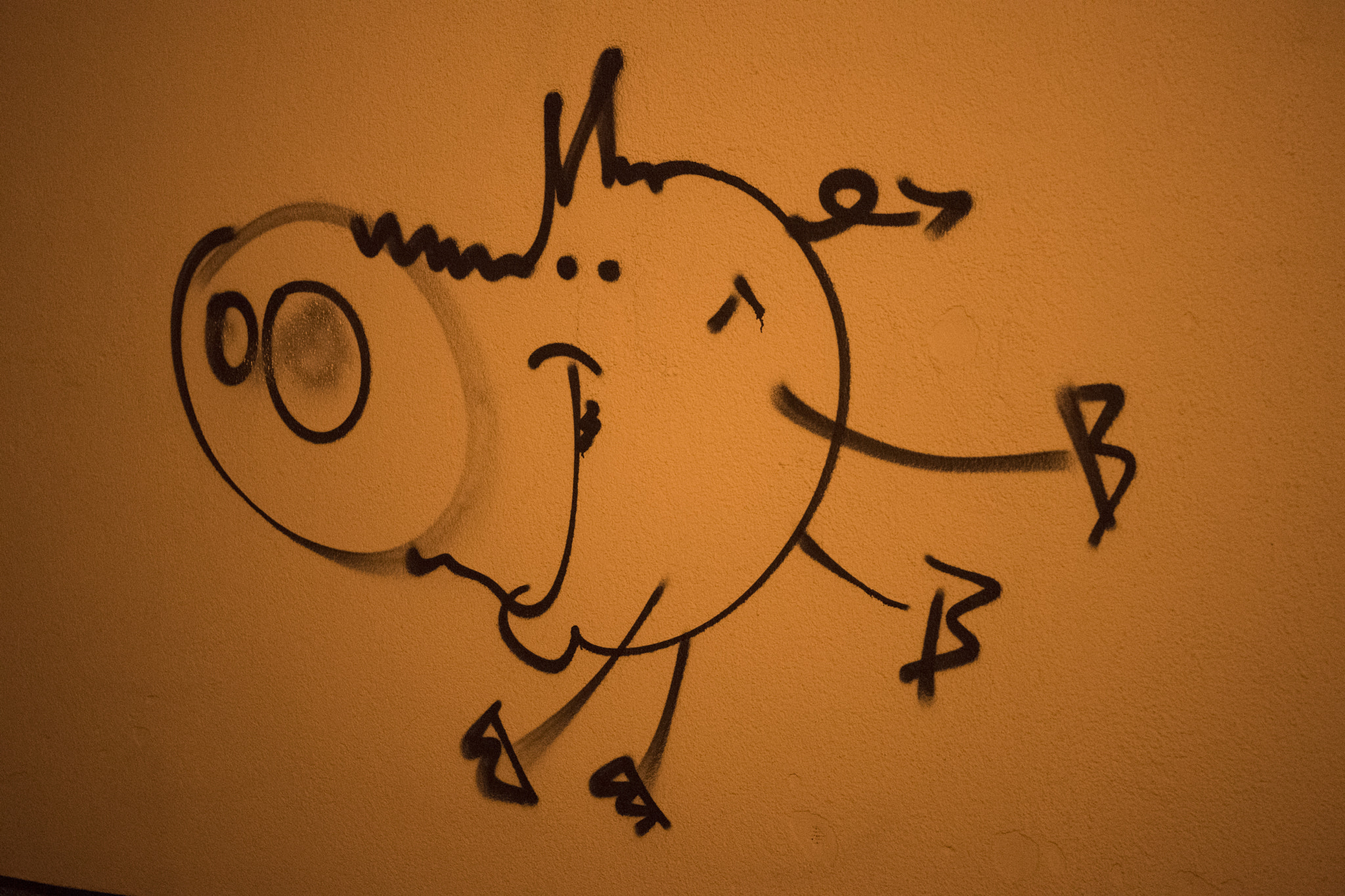 Nikon D5 sample photo. Graffiti pig photography