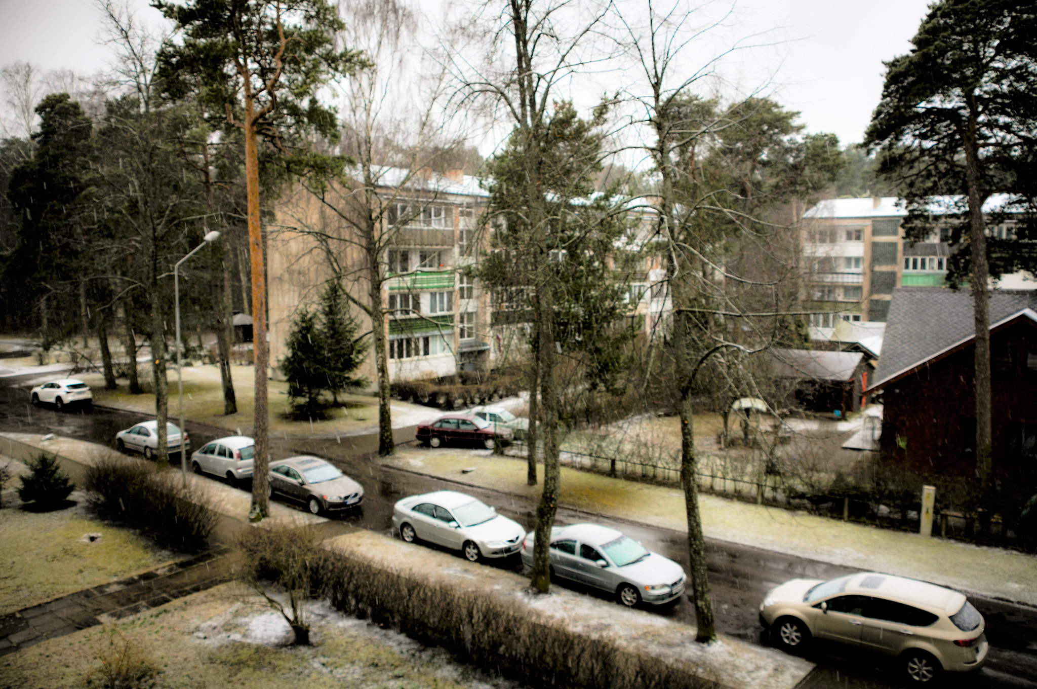 Nikon D300 sample photo. Spring on our street photography