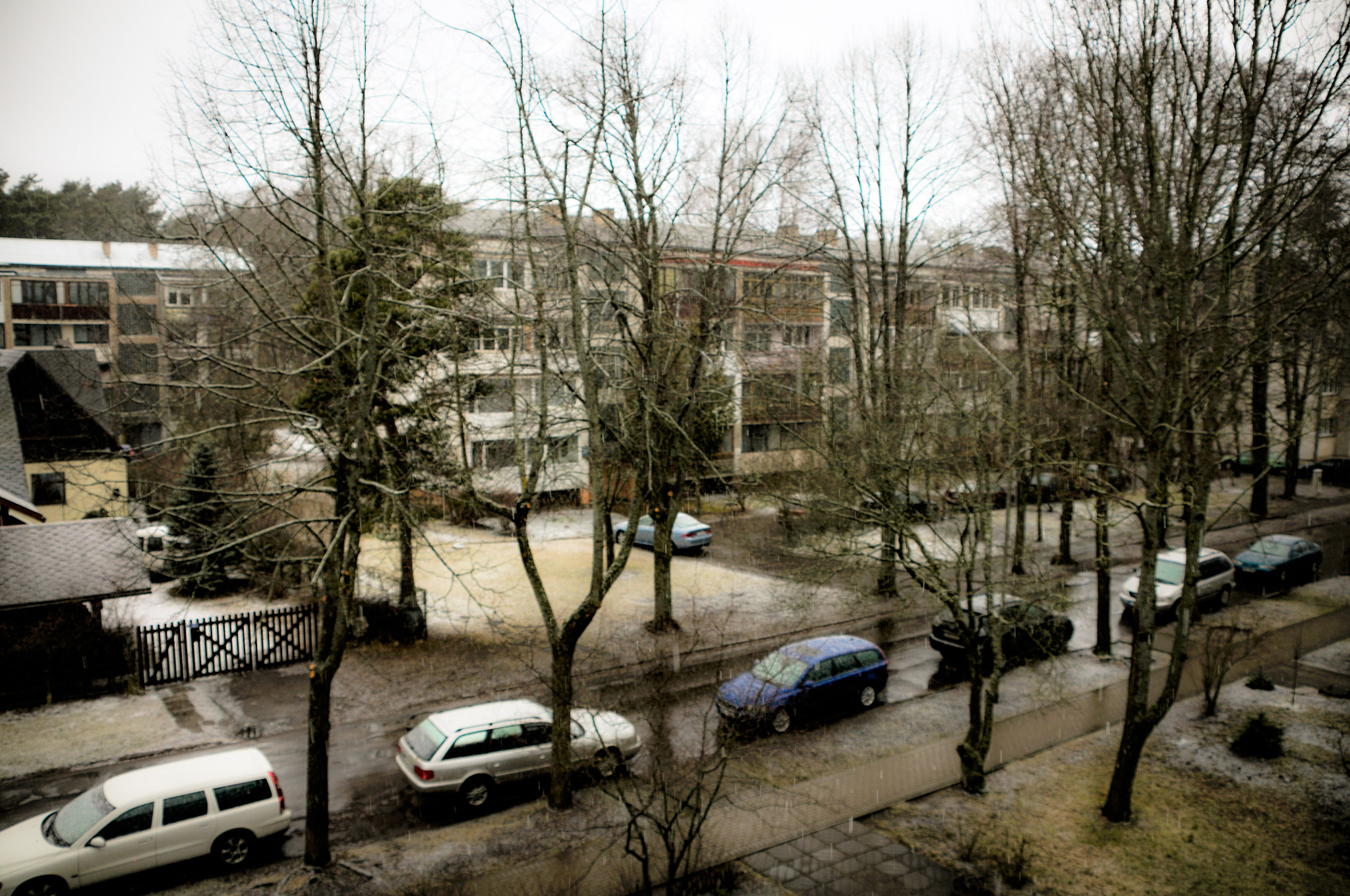 Nikon D300 sample photo. Spring on our street photography