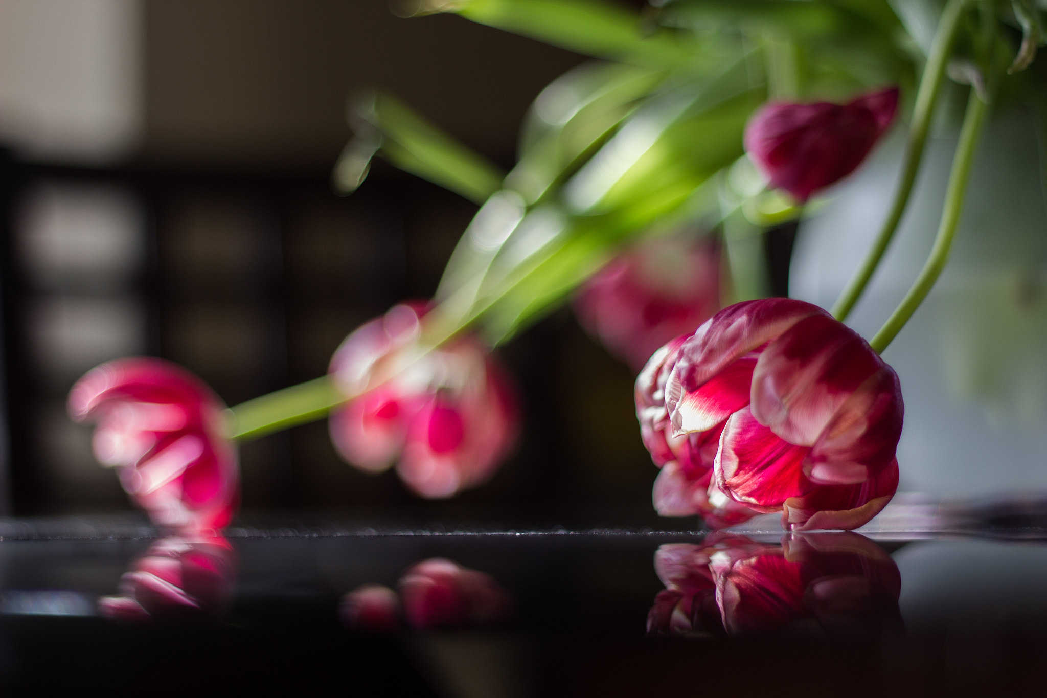 Canon EOS 550D (EOS Rebel T2i / EOS Kiss X4) sample photo. Pink tulips photography